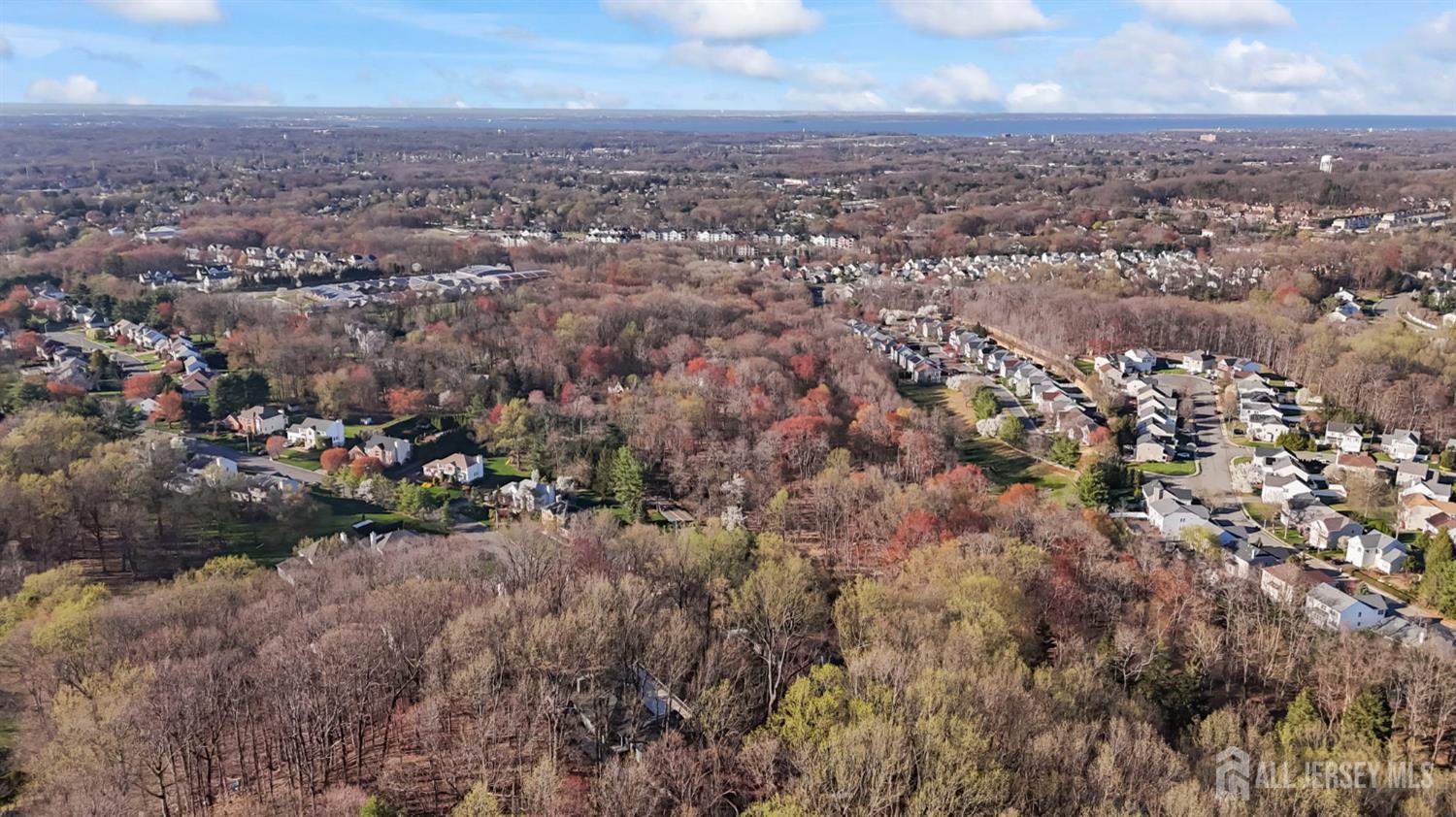 120 Nolan Road Morganville, NJ 07751 - Photo 82 of 85 an aerial view of residential house with green space