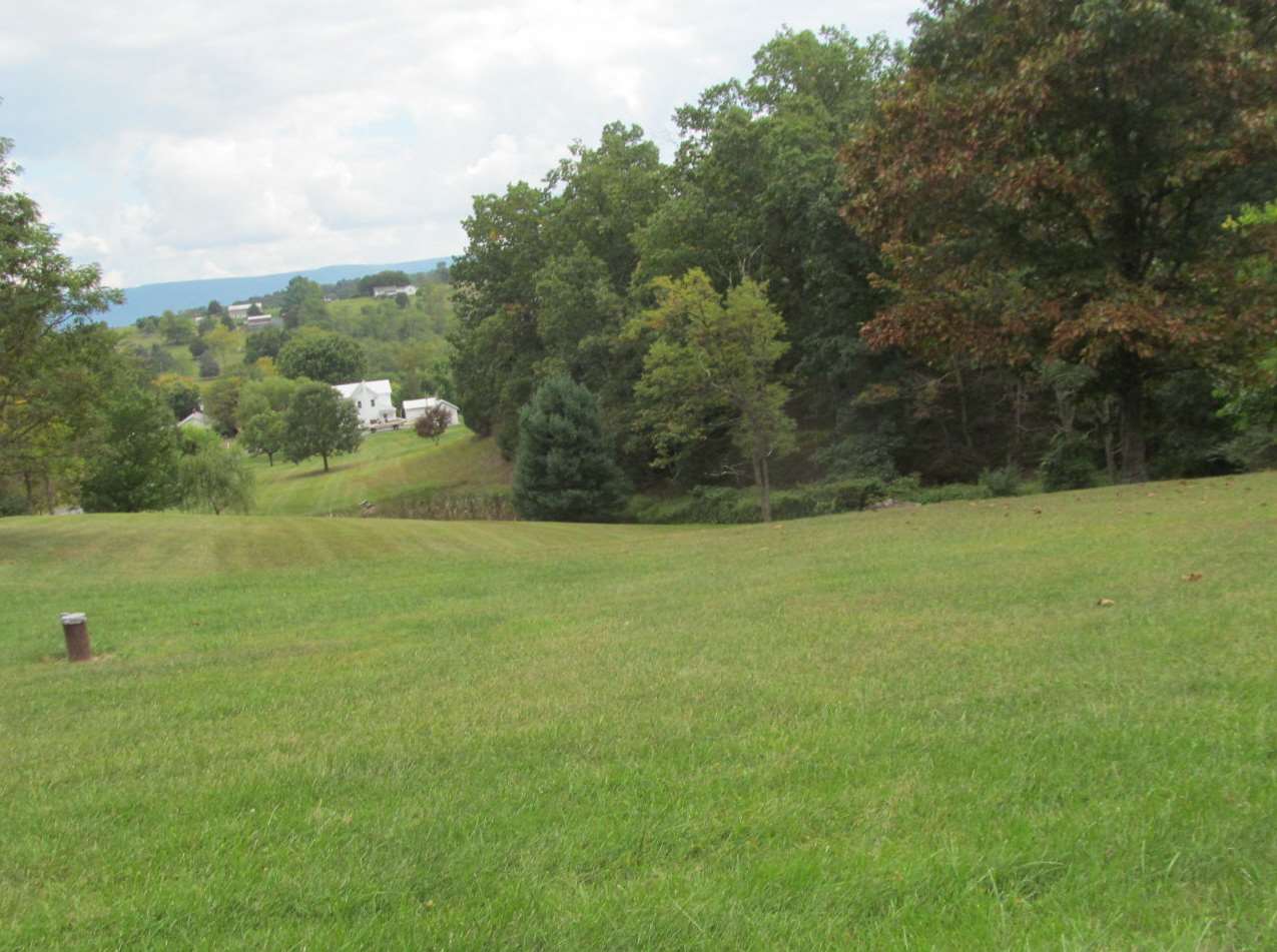 2240 Pepper Road Mount Jackson, VA 22842 - Photo 30 of 33 a view of outdoor space and yard