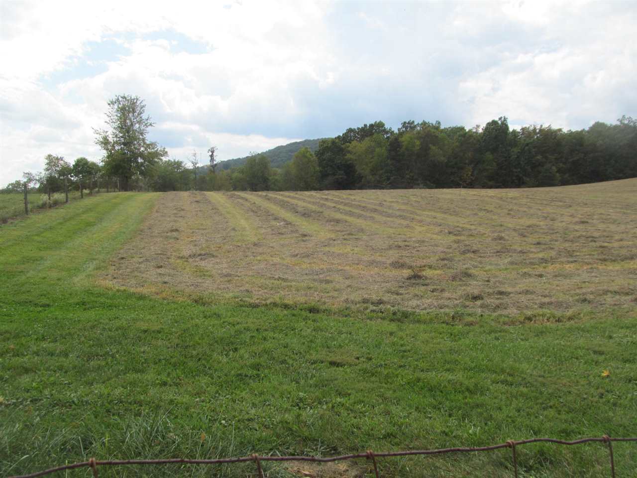 2240 Pepper Road Mount Jackson, VA 22842 - Photo 33 of 33 a view of a lake view and mountain view