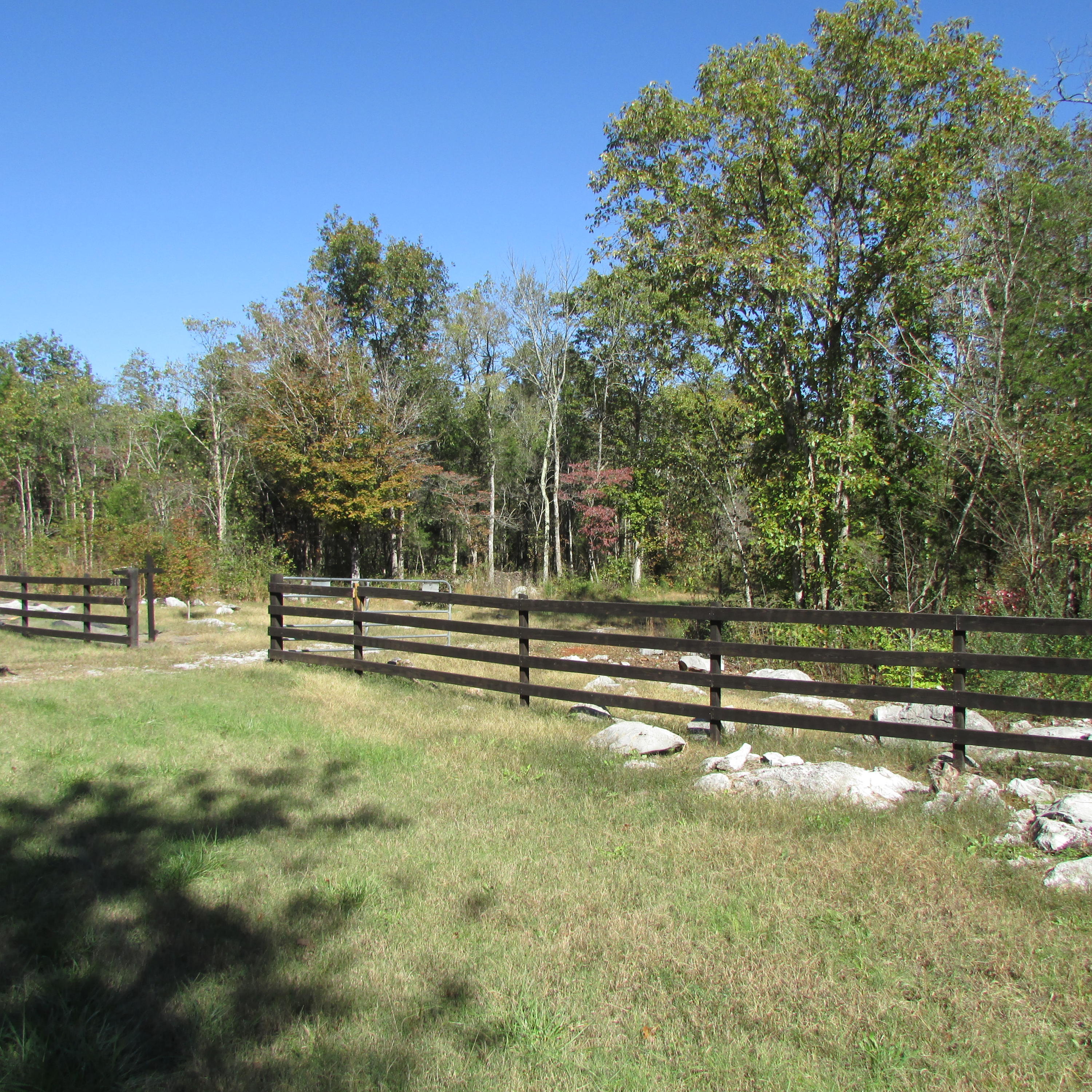 Kearney Rd