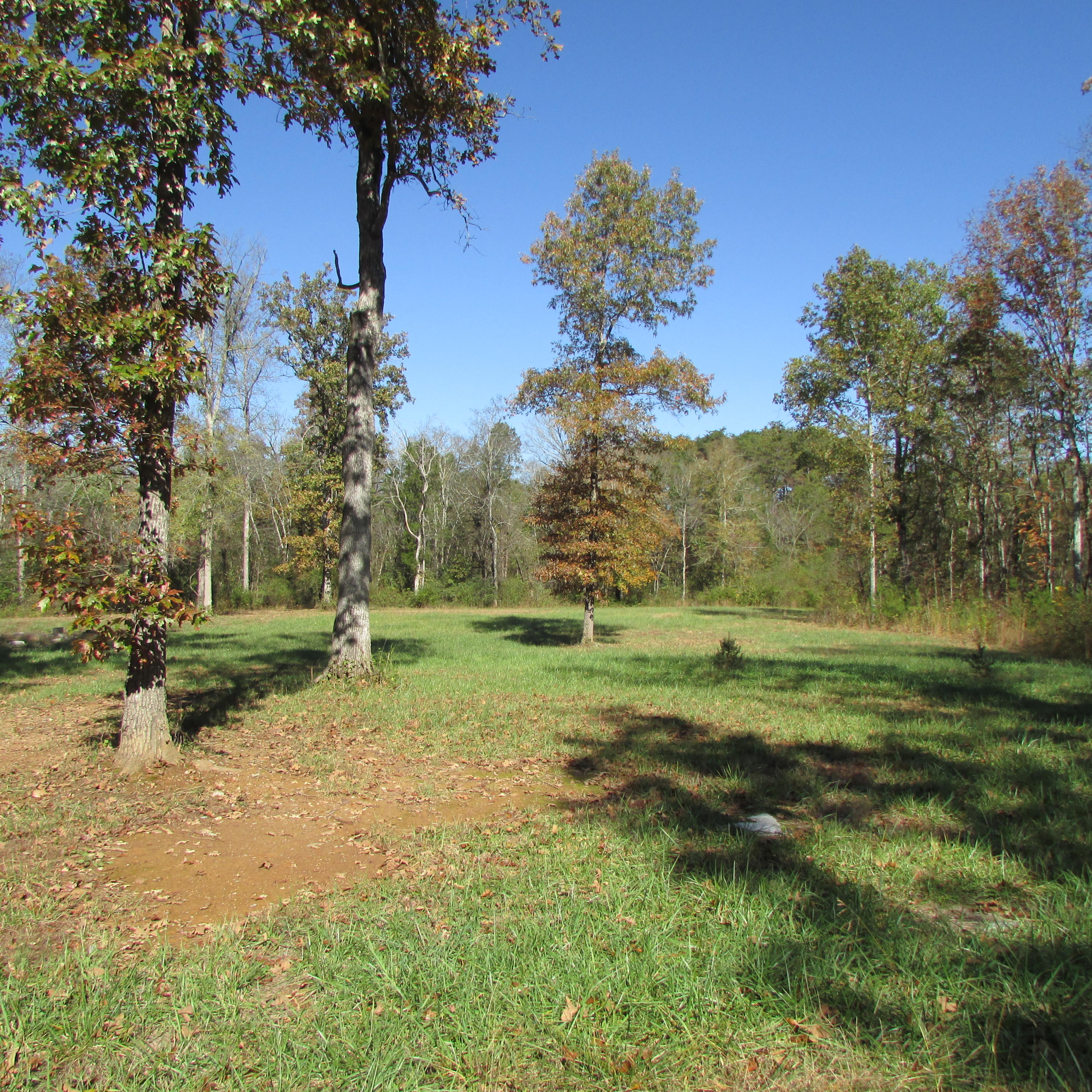 340 Kearney Road New Market, TN 37820 - Photo 11 of 40 Kearney Rd