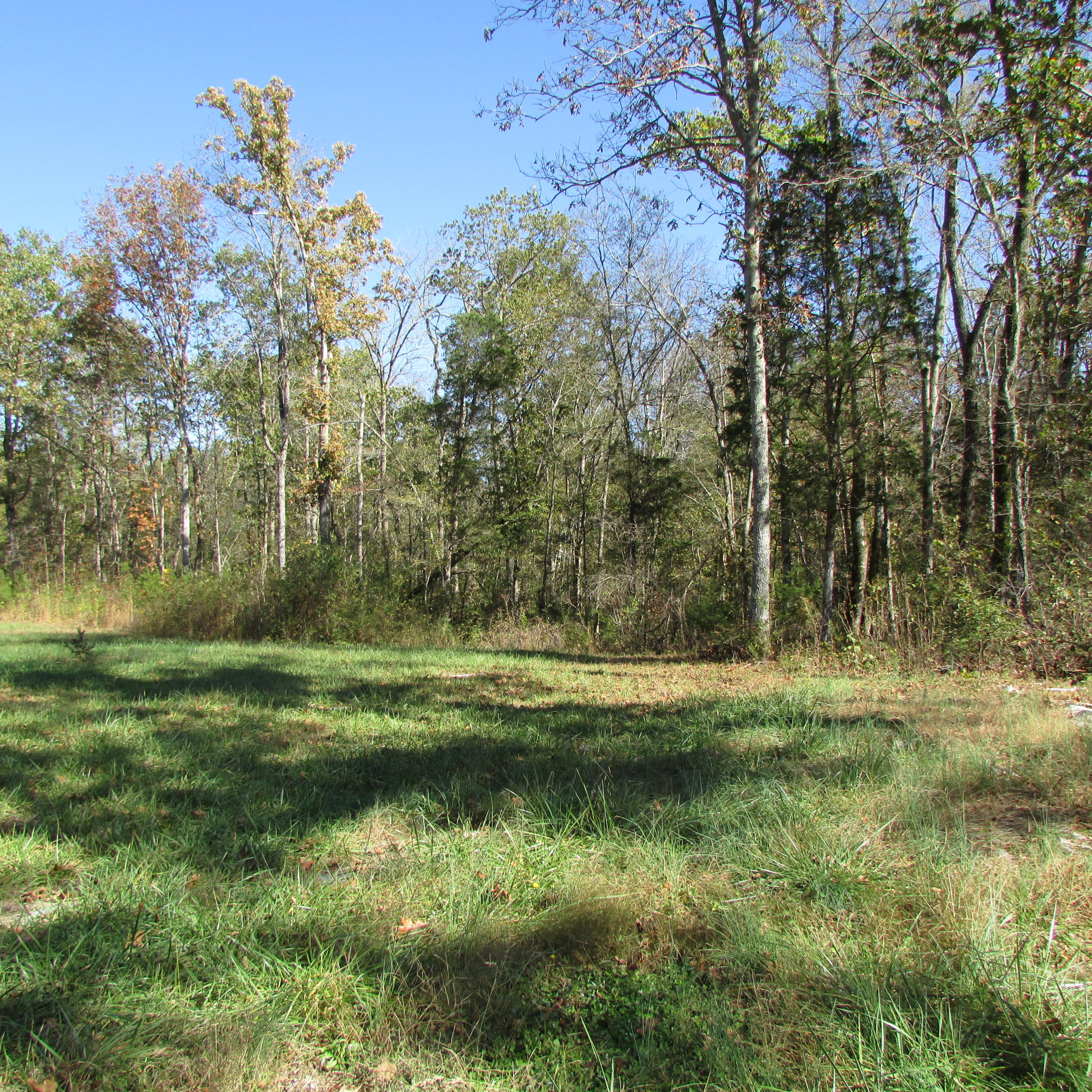 340 Kearney Road New Market, TN 37820 - Photo 12 of 40 Kearney Rd
