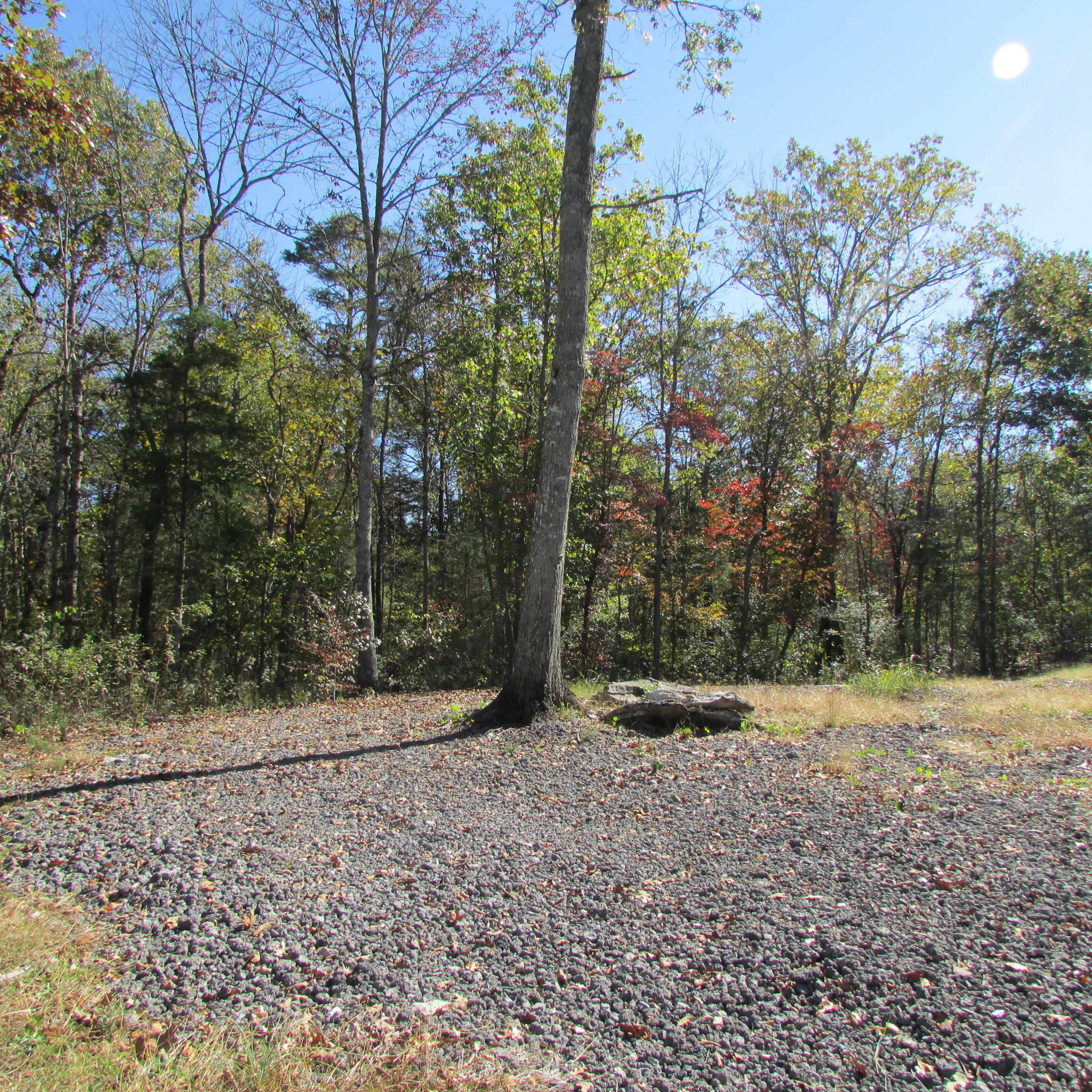 340 Kearney Road New Market, TN 37820 - Photo 13 of 40 Kearney Rd