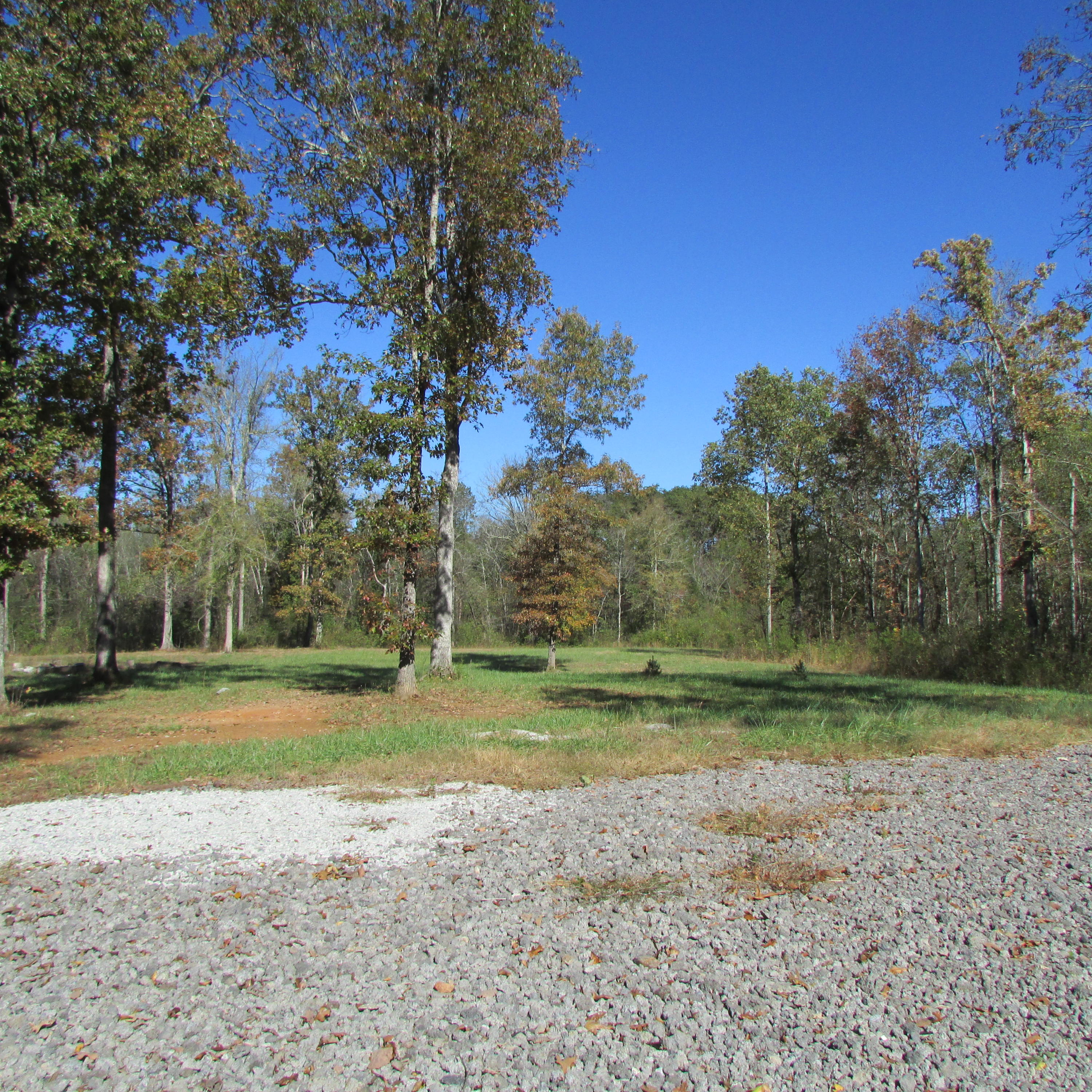 340 Kearney Road New Market, TN 37820 - Photo 14 of 40 Kearney Rd