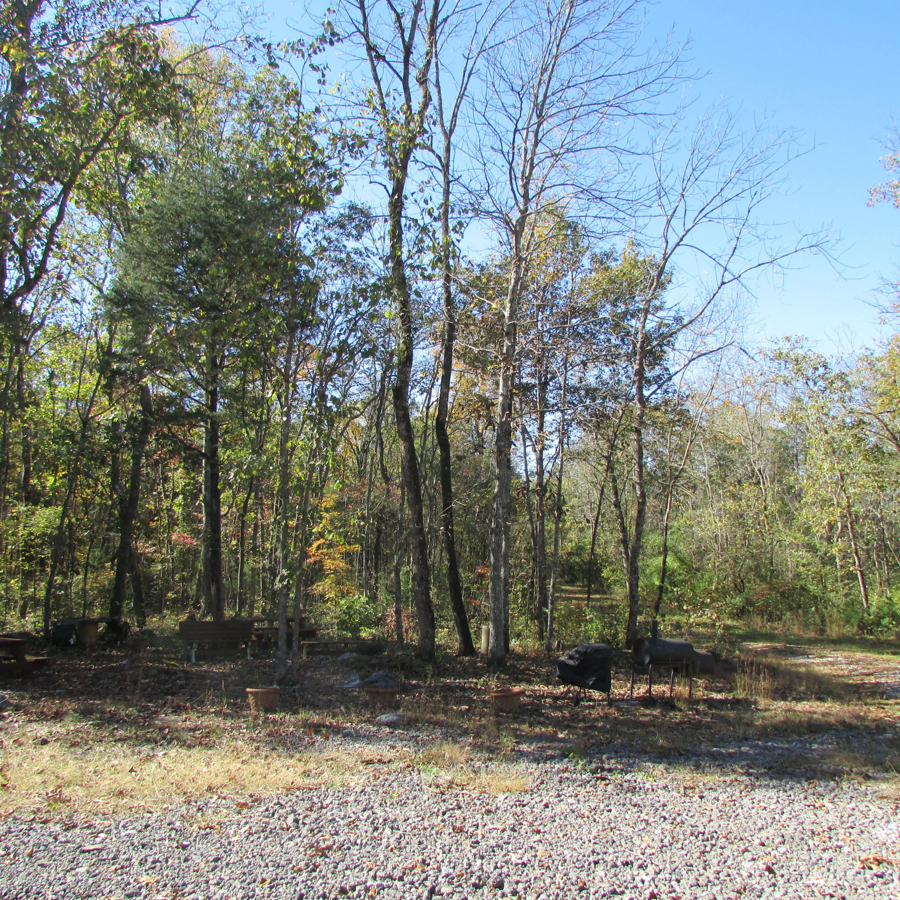 340 Kearney Road New Market, TN 37820 - Photo 15 of 40 Kearney Rd