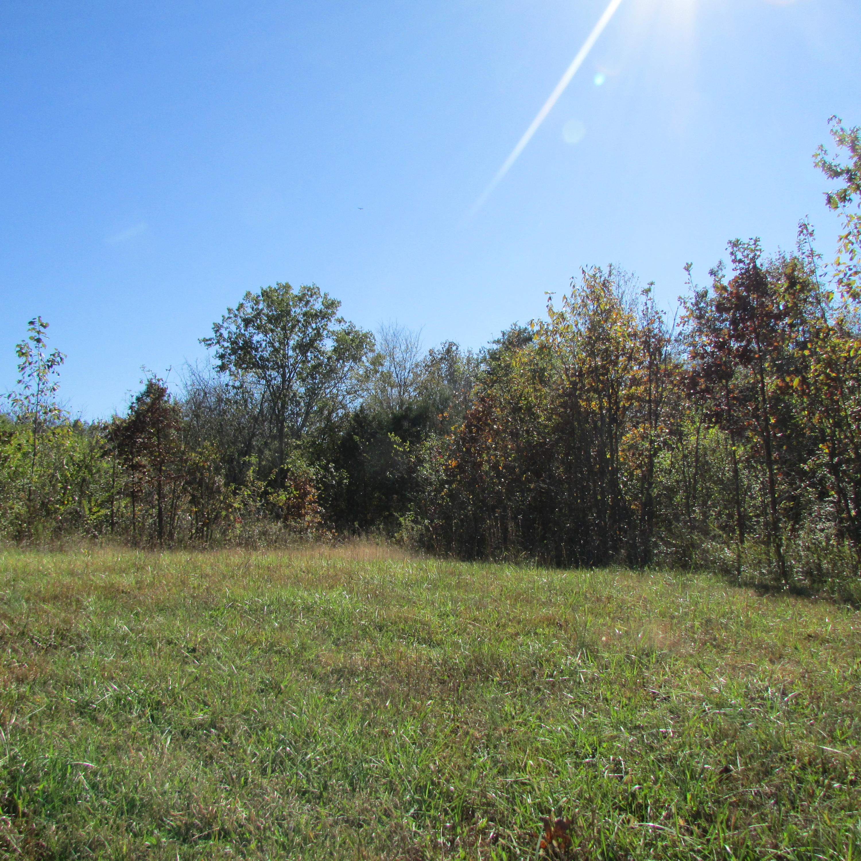 340 Kearney Road New Market, TN 37820 - Photo 16 of 40 Kearney Rd