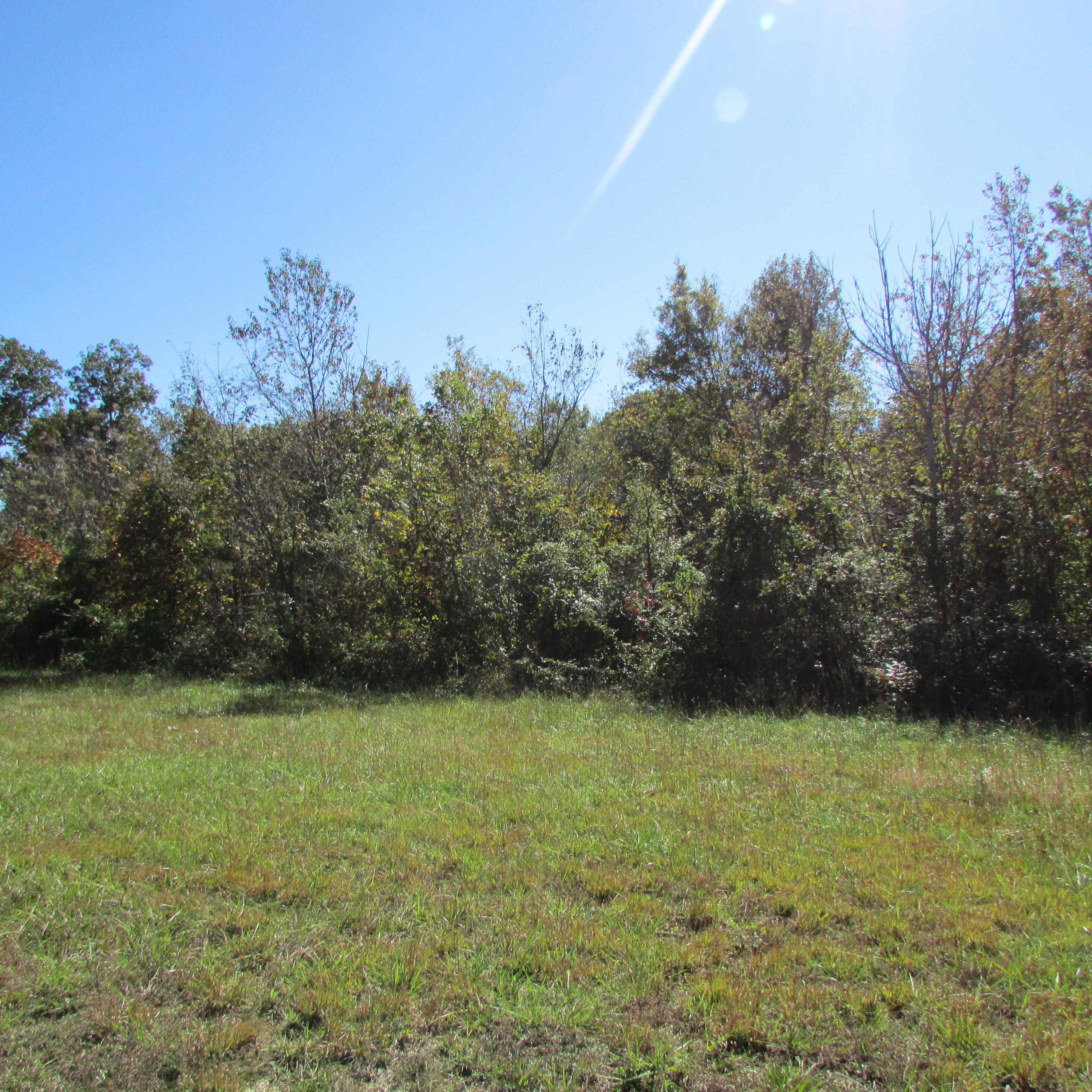 340 Kearney Road New Market, TN 37820 - Photo 17 of 40 Kearney Rd