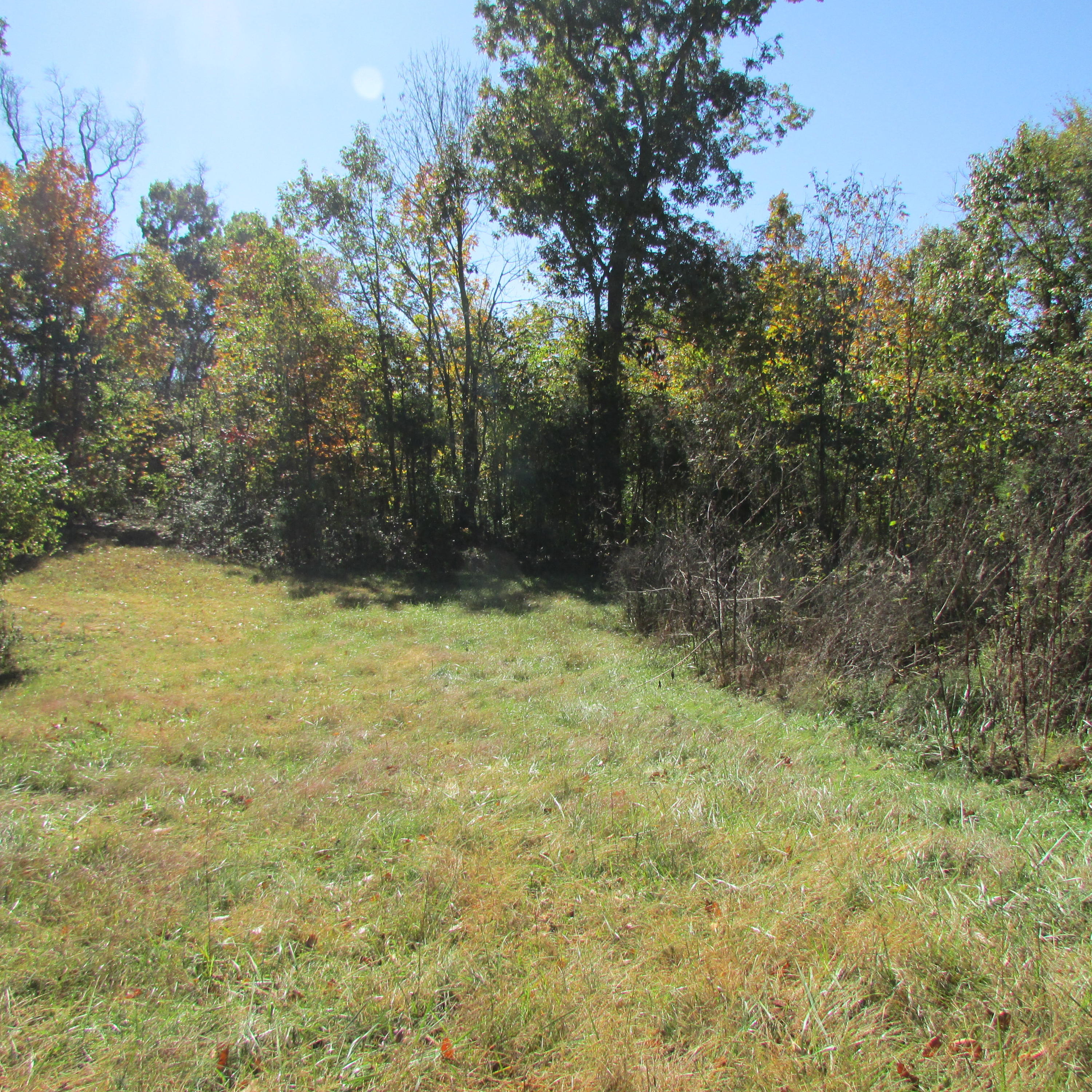 340 Kearney Road New Market, TN 37820 - Photo 18 of 40 Kearney Rd