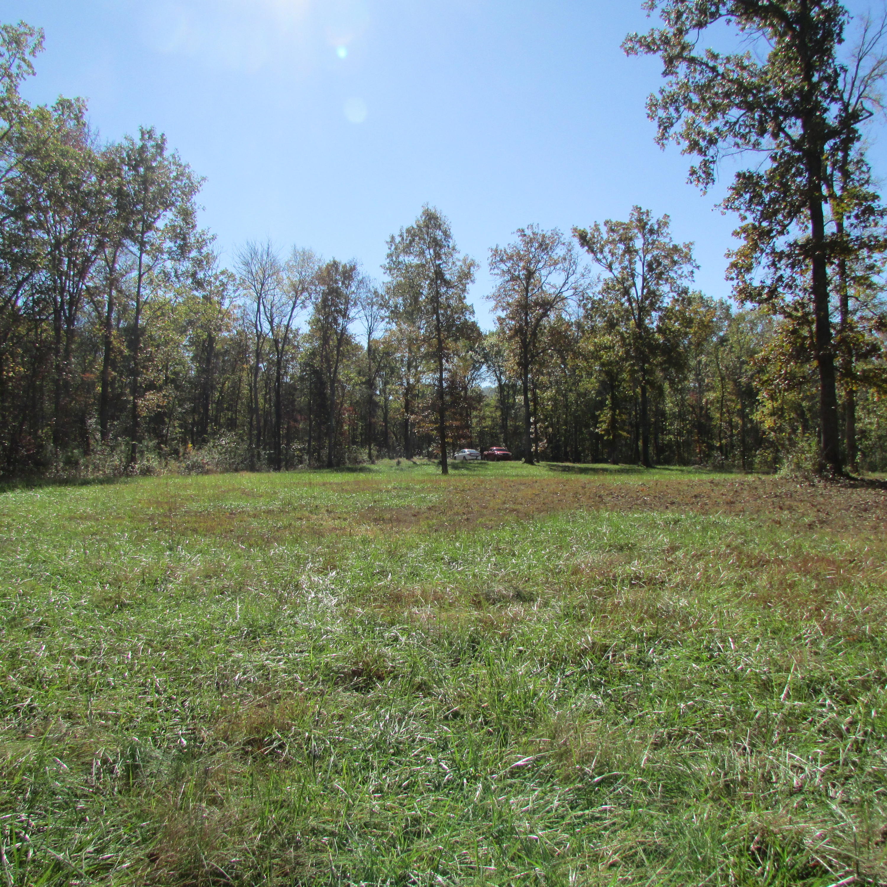 340 Kearney Road New Market, TN 37820 - Photo 19 of 40 Kearney Rd