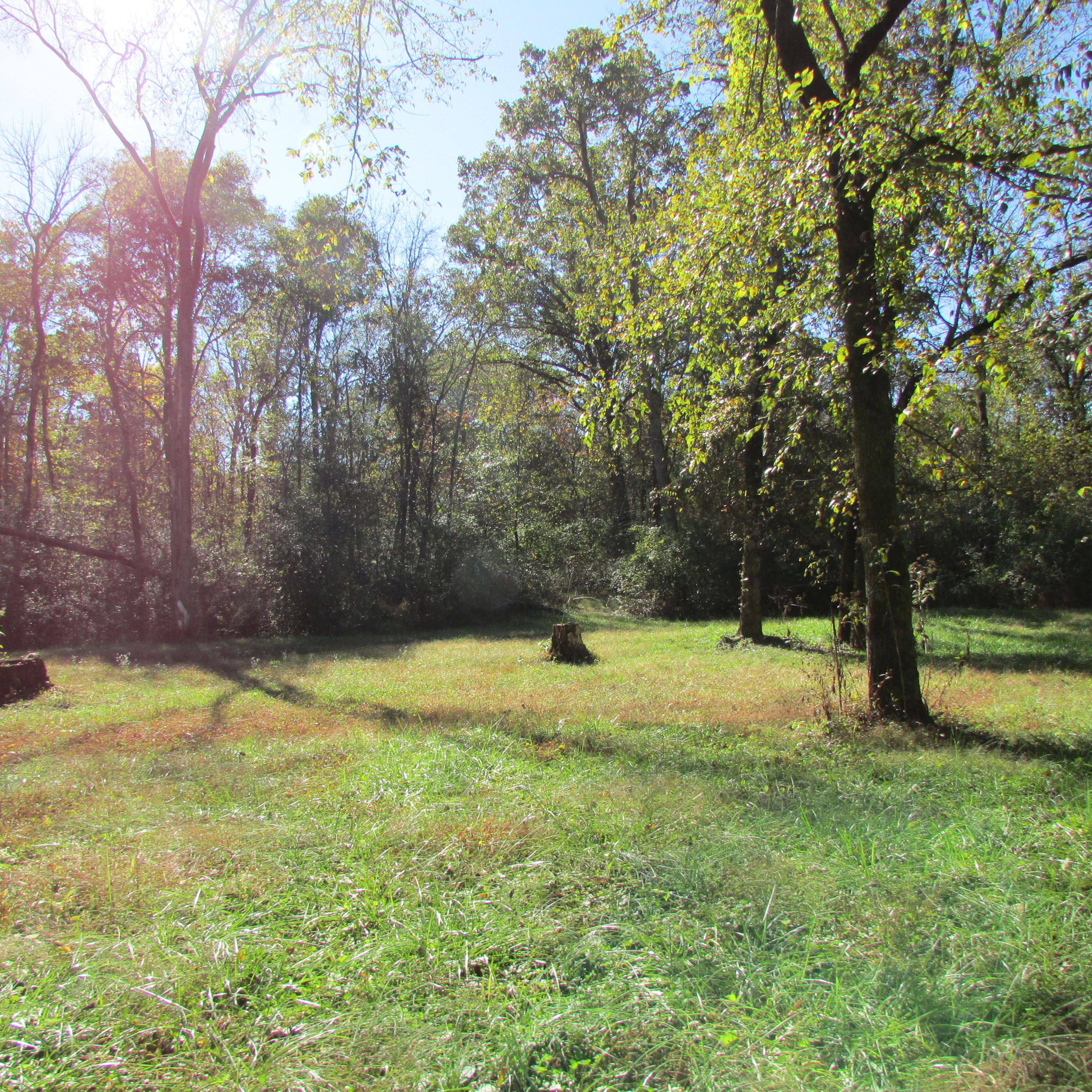 340 Kearney Road New Market, TN 37820 - Photo 20 of 40 Kearney Rd