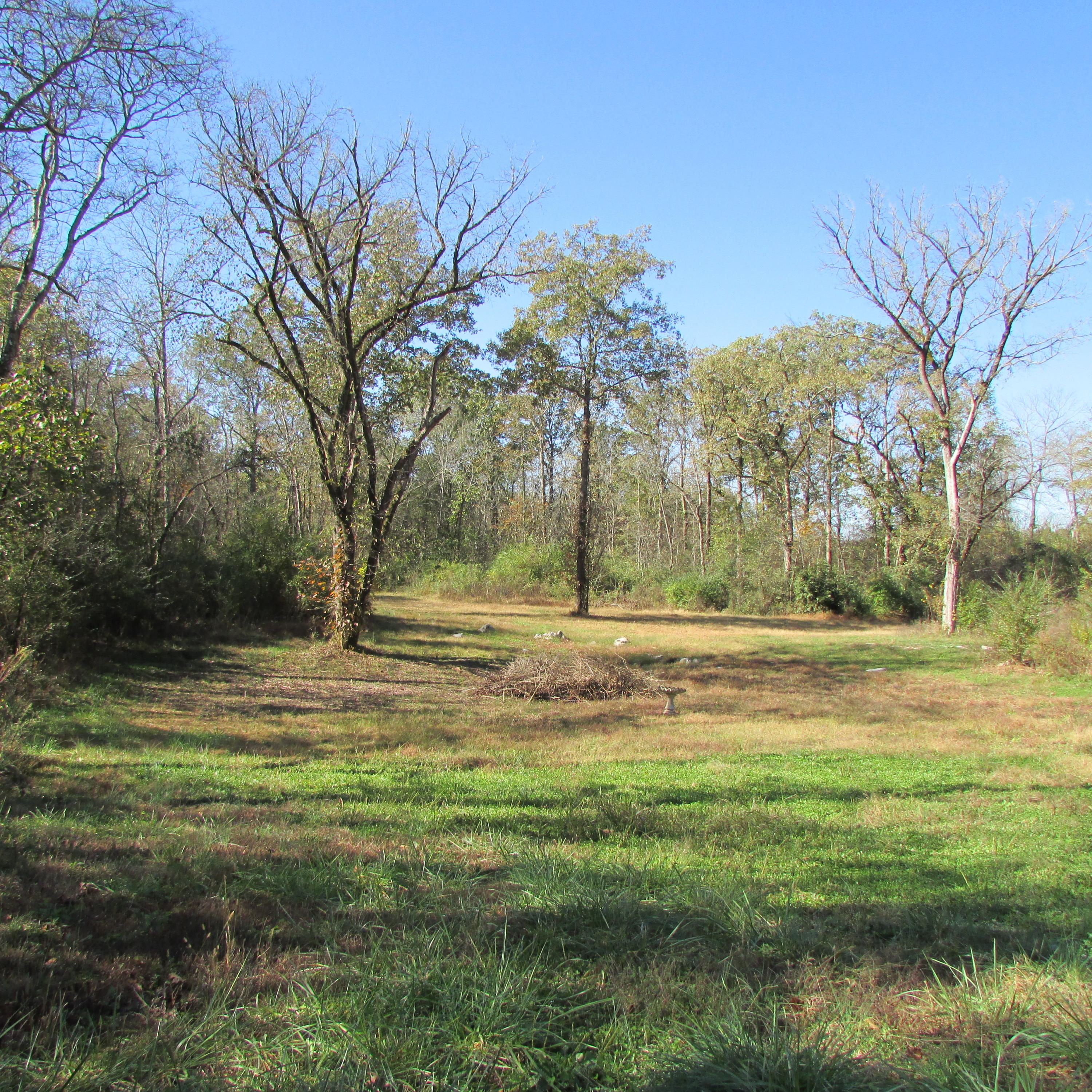 340 Kearney Road New Market, TN 37820 - Photo 22 of 40 Kearney Rd