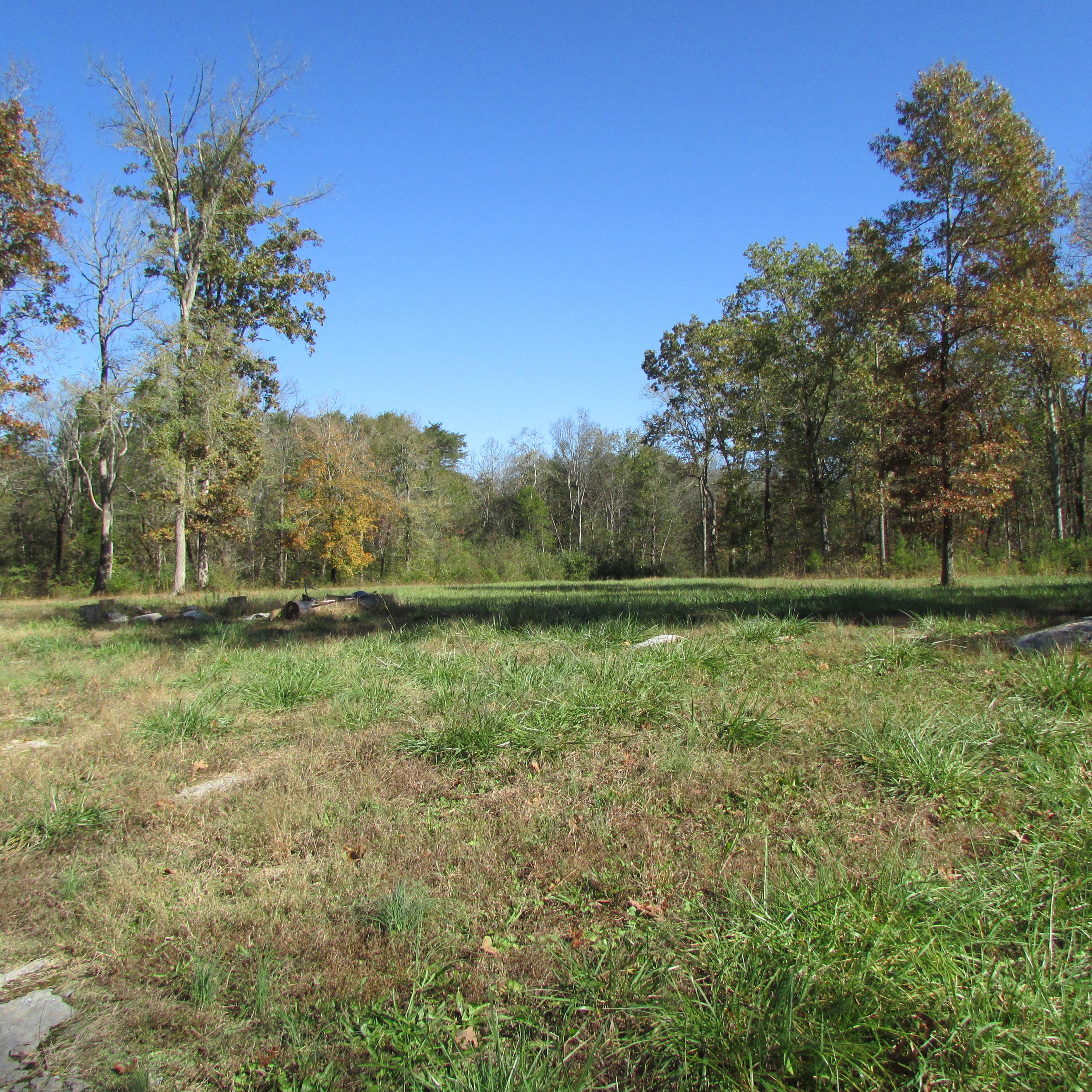 340 Kearney Road New Market, TN 37820 - Photo 23 of 40 Kearney Rd