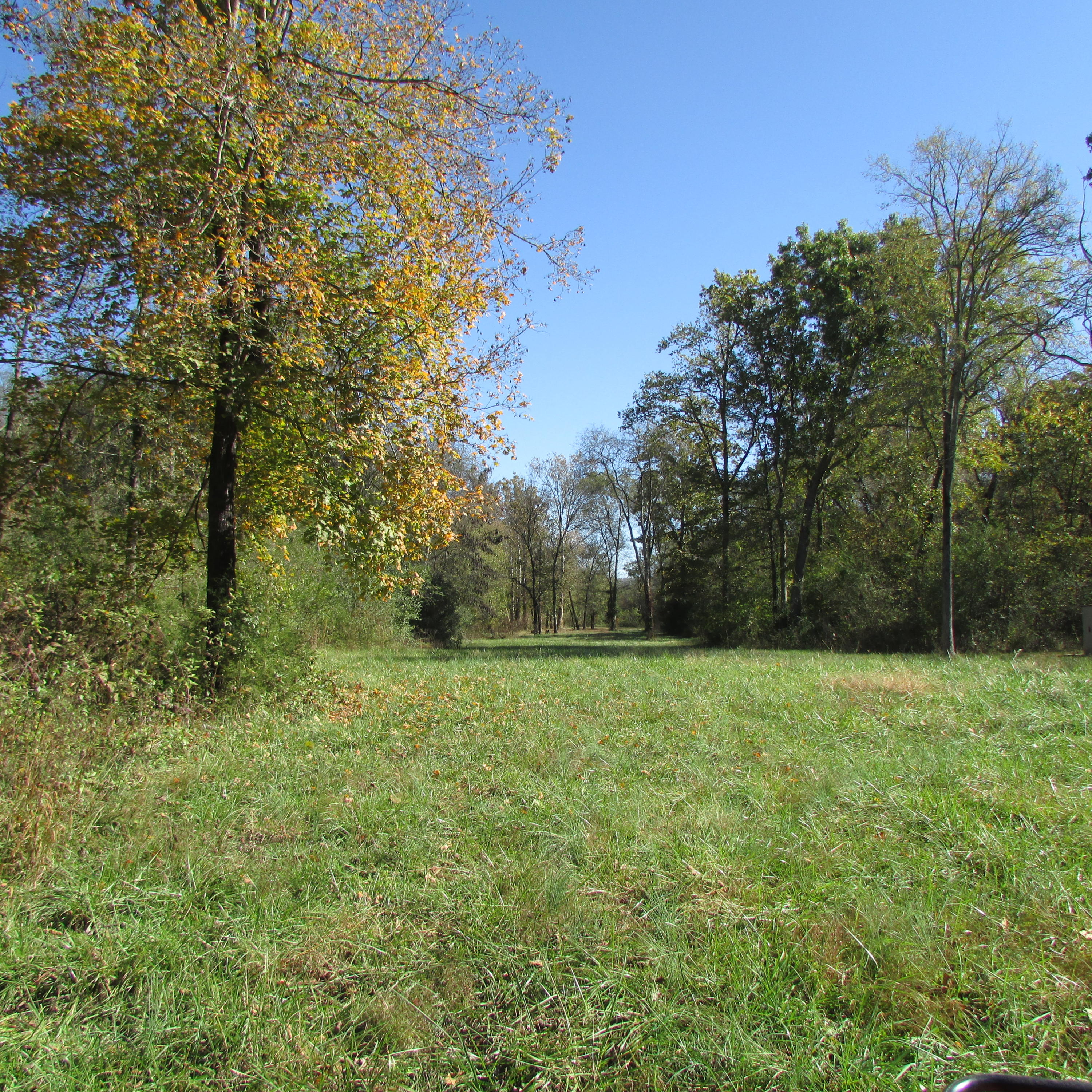 340 Kearney Road New Market, TN 37820 - Photo 24 of 40 Kearney Rd