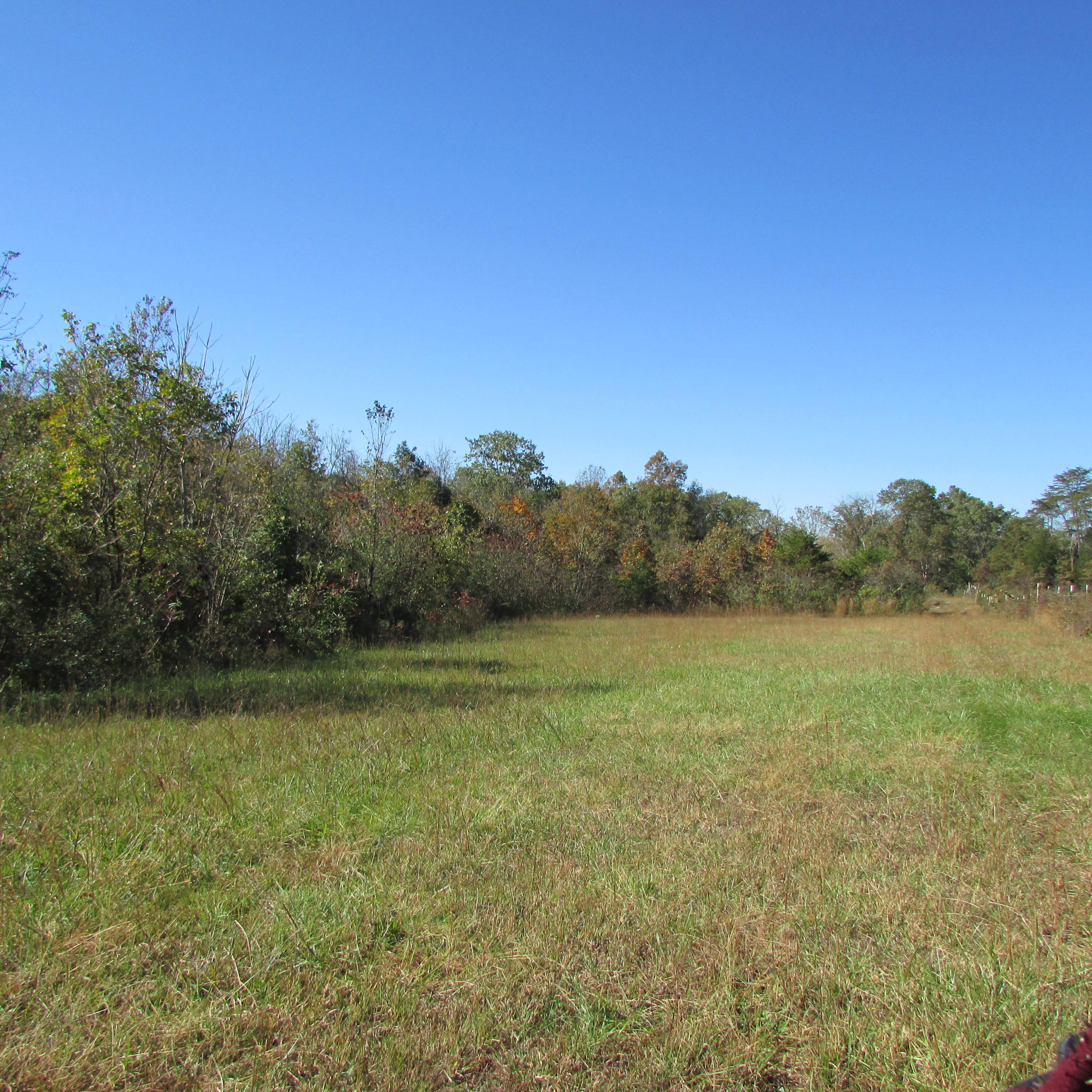 340 Kearney Road New Market, TN 37820 - Photo 26 of 40 Kearney Rd