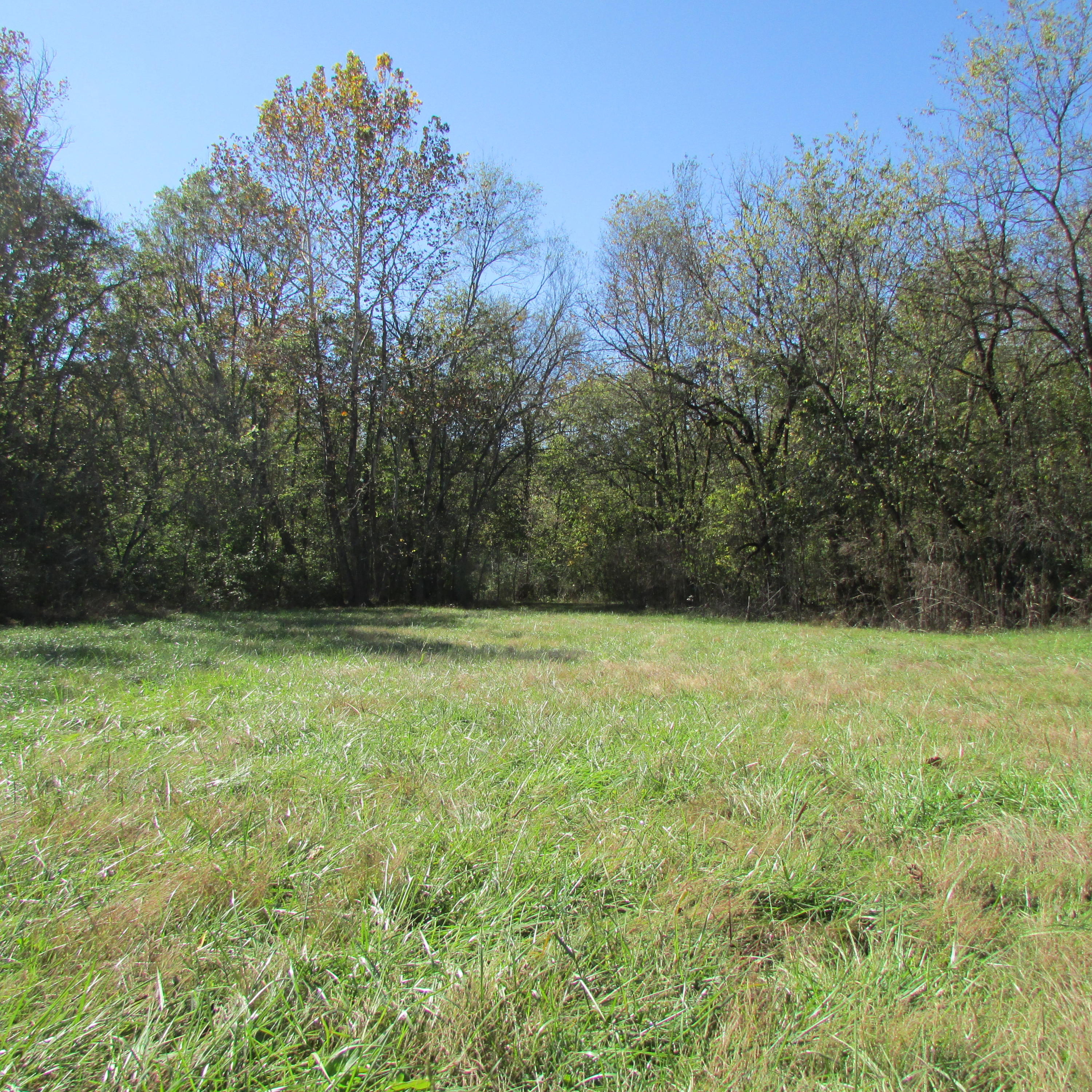 340 Kearney Road New Market, TN 37820 - Photo 28 of 40 Kearney Rd