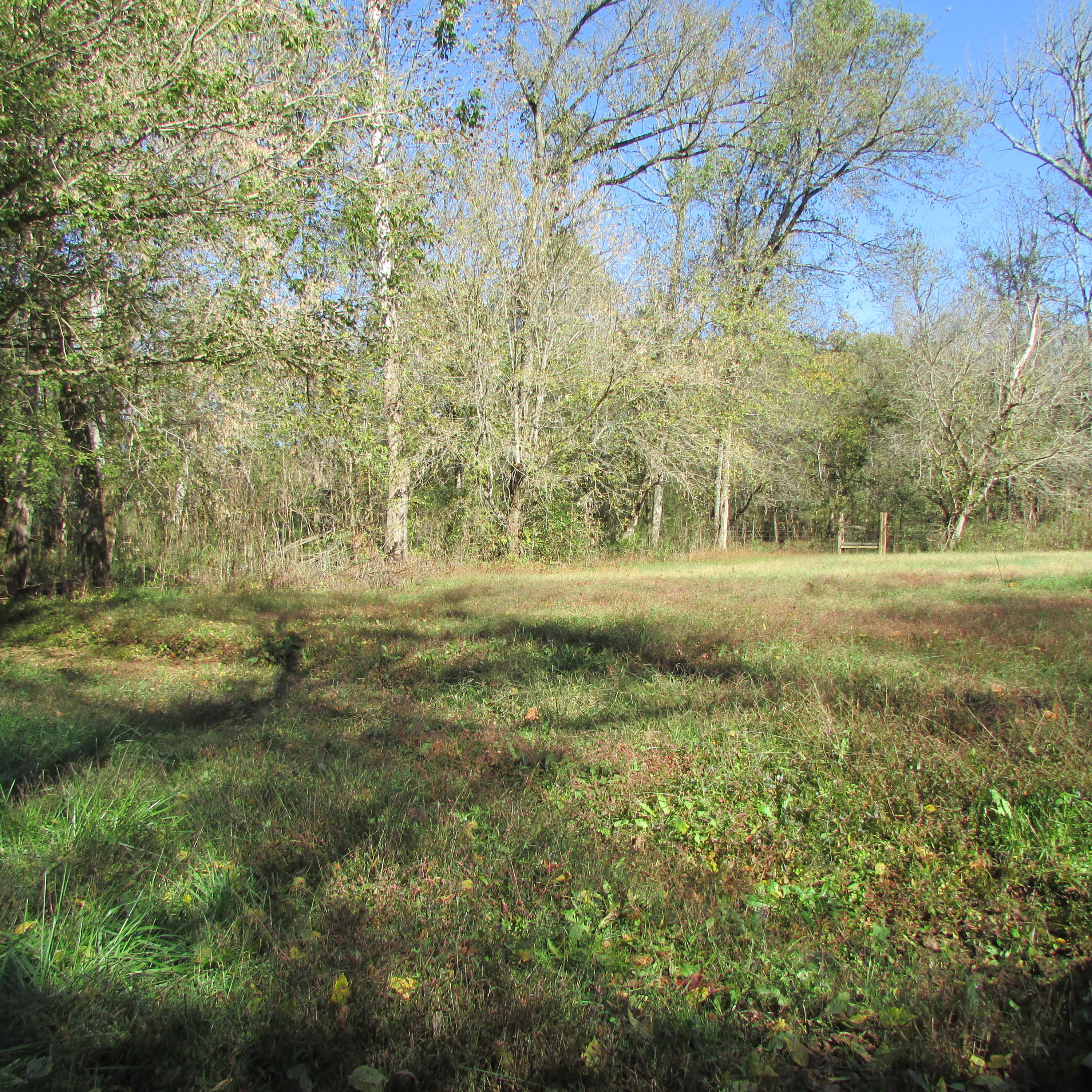 340 Kearney Road New Market, TN 37820 - Photo 33 of 40 Kearney Rd