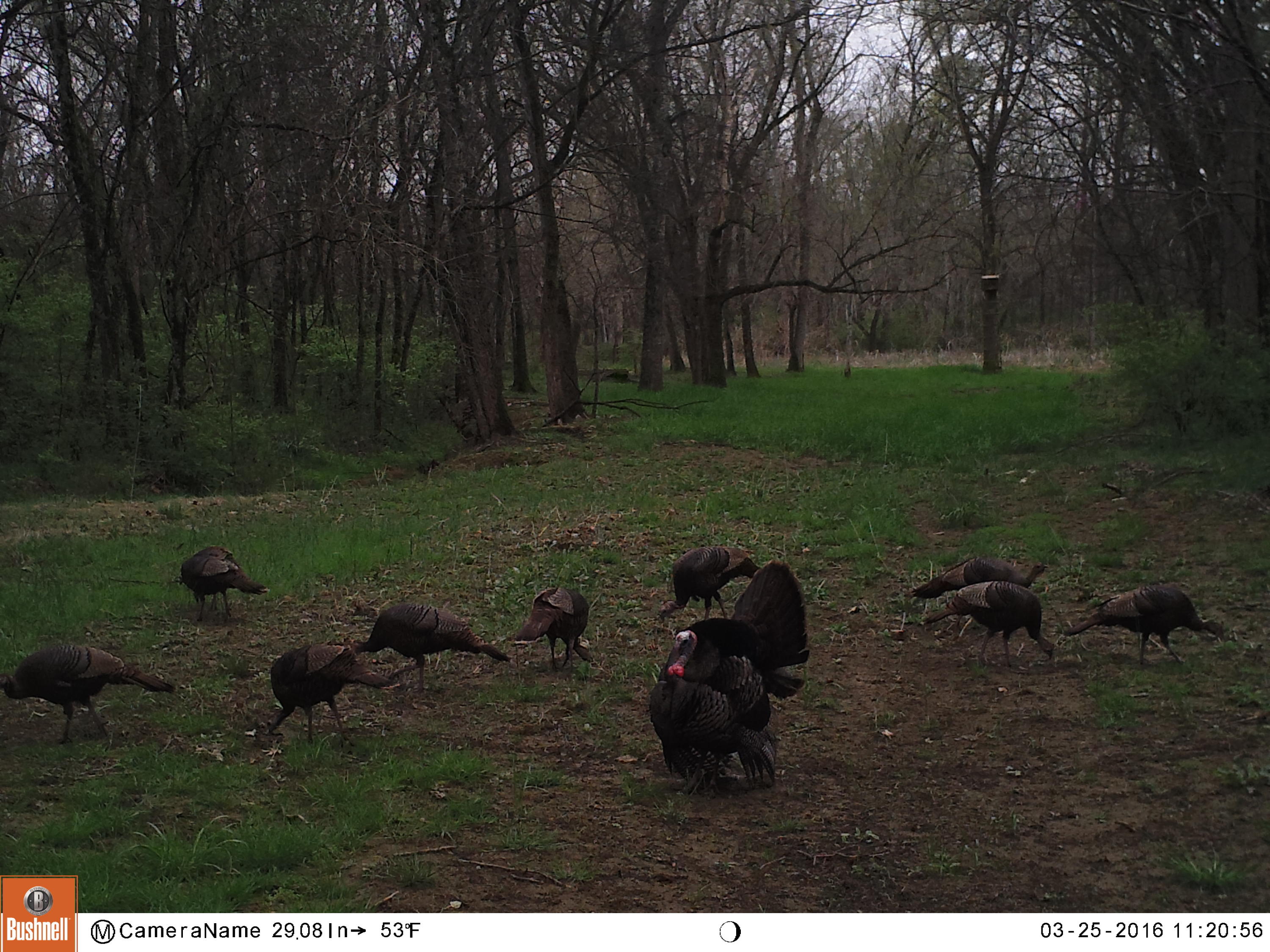 340 Kearney Road New Market, TN 37820 - Photo 36 of 40 Property Camera