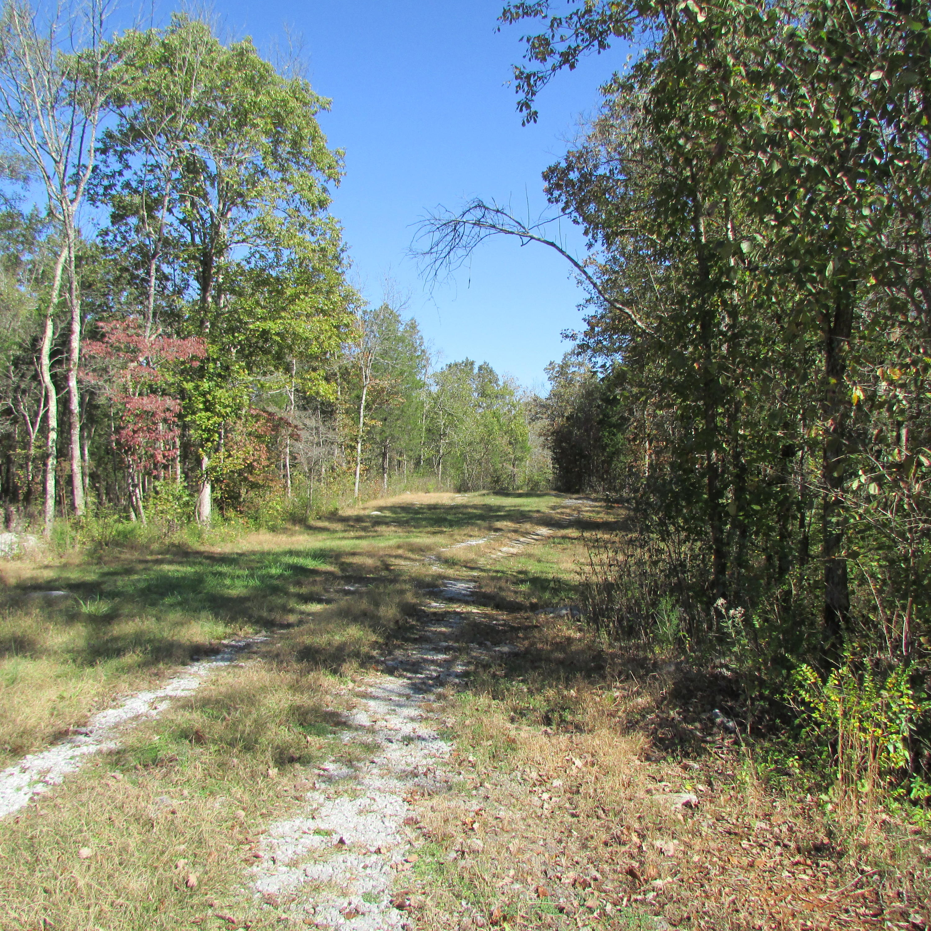 Kearney Rd