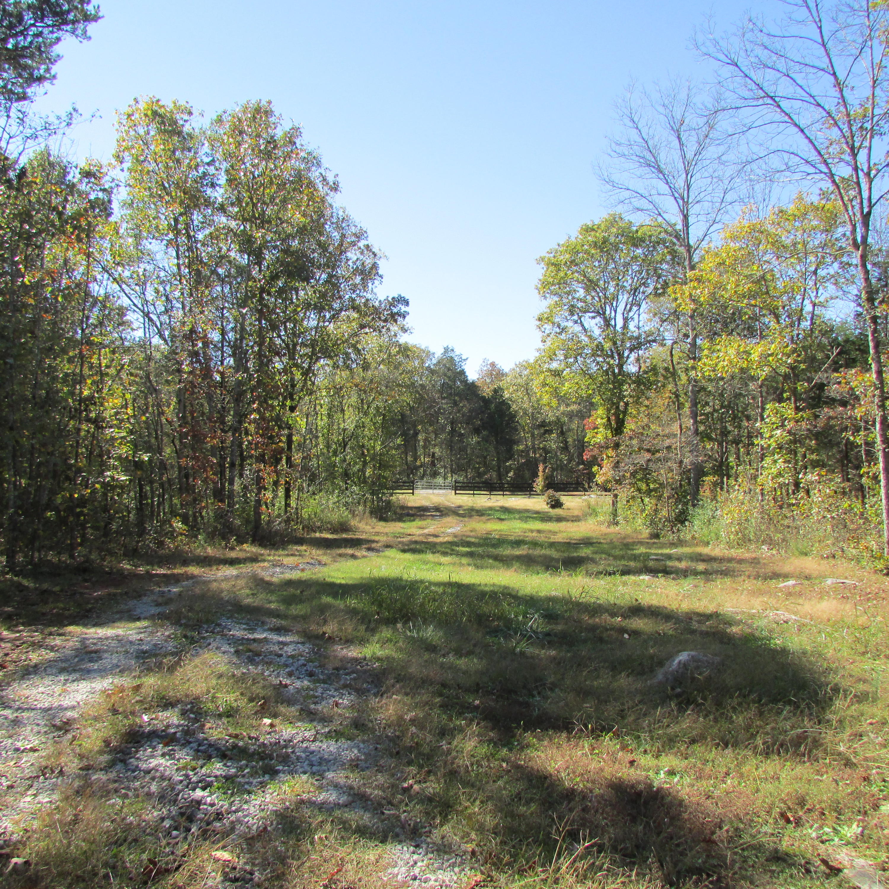 340 Kearney Road New Market, TN 37820 - Photo 8 of 40 Kearney Rd