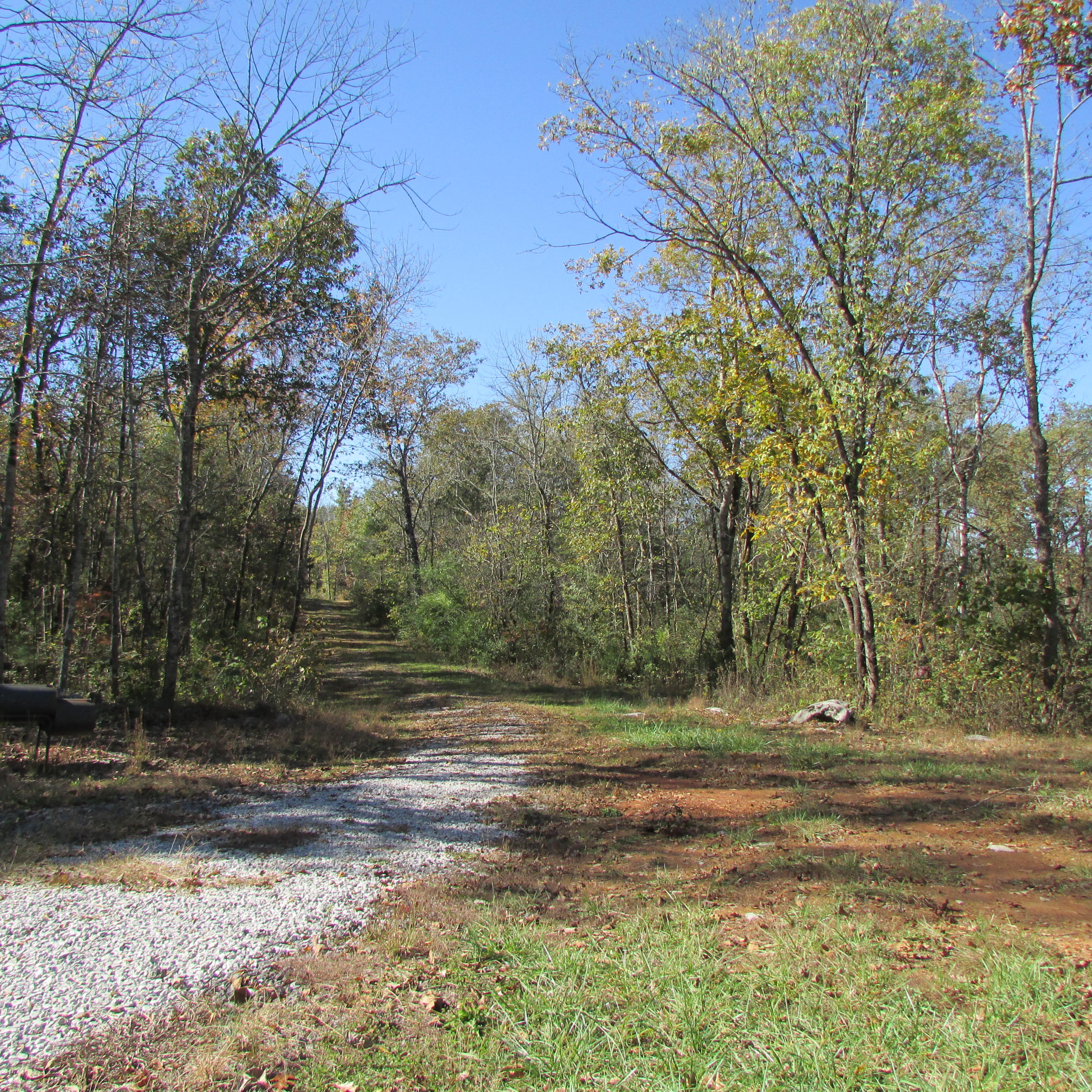 340 Kearney Road New Market, TN 37820 - Photo 9 of 40 Kearney Rd