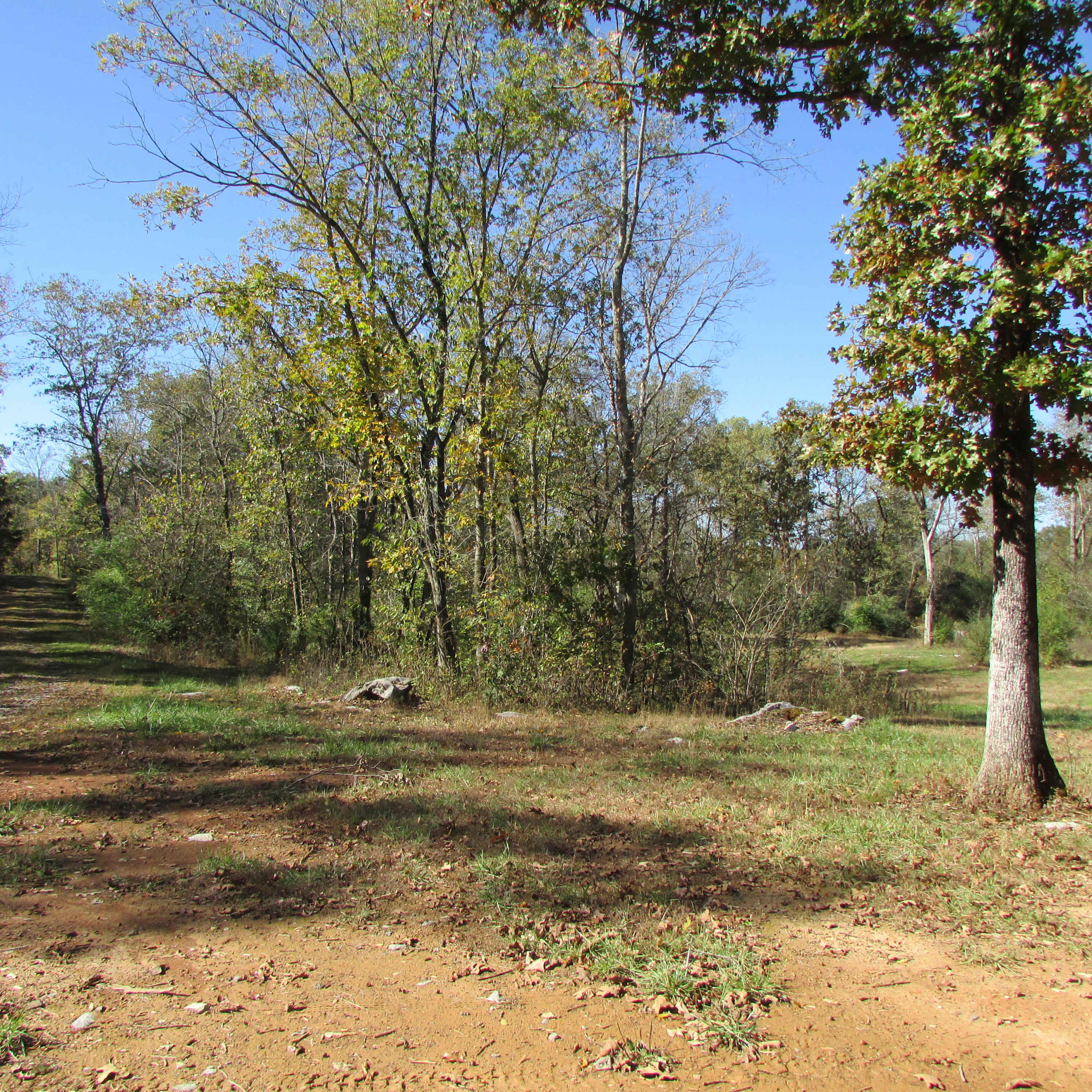 340 Kearney Road New Market, TN 37820 - Photo 10 of 40 Kearney Rd