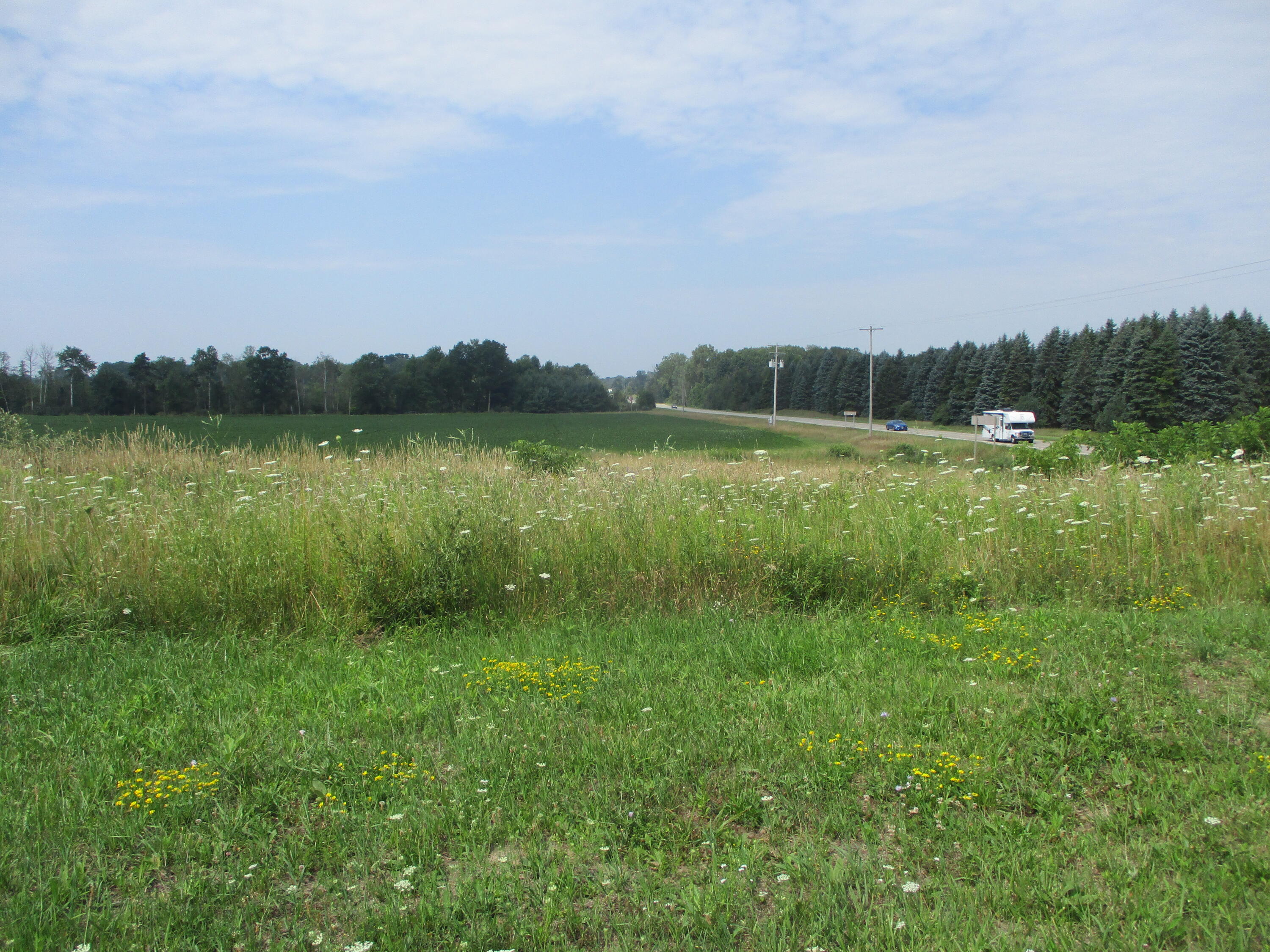 9441 Miles Road Six Lakes, MI 48886 - Photo 10 of 35 IMG_7291