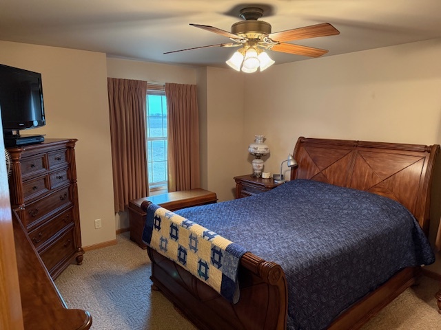 12027 Lisbon Road Newark, IL 60541 - Photo 12 of 29 a bedroom with a bed and a flat tv screen on dresser