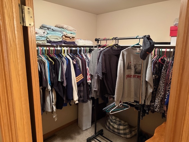 12027 Lisbon Road Newark, IL 60541 - Photo 13 of 29 a view of walk in closet with clothes