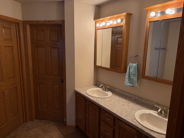 12027 Lisbon Road Newark, IL 60541 - Photo 14 of 29 a bathroom with 2 sink and a mirror