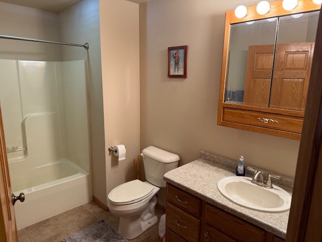 12027 Lisbon Road Newark, IL 60541 - Photo 19 of 29 a bathroom with a sink a toilet and shower