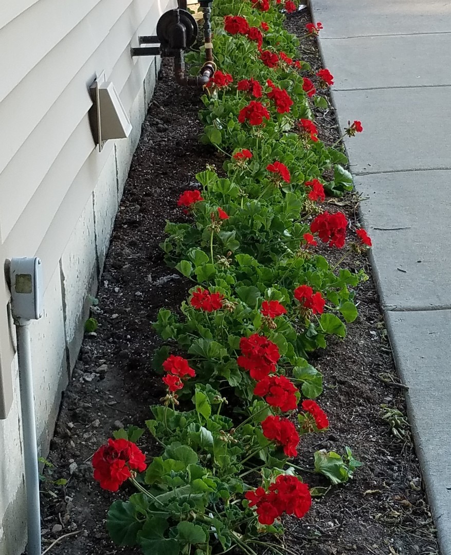 12027 Lisbon Road Newark, IL 60541 - Photo 29 of 29