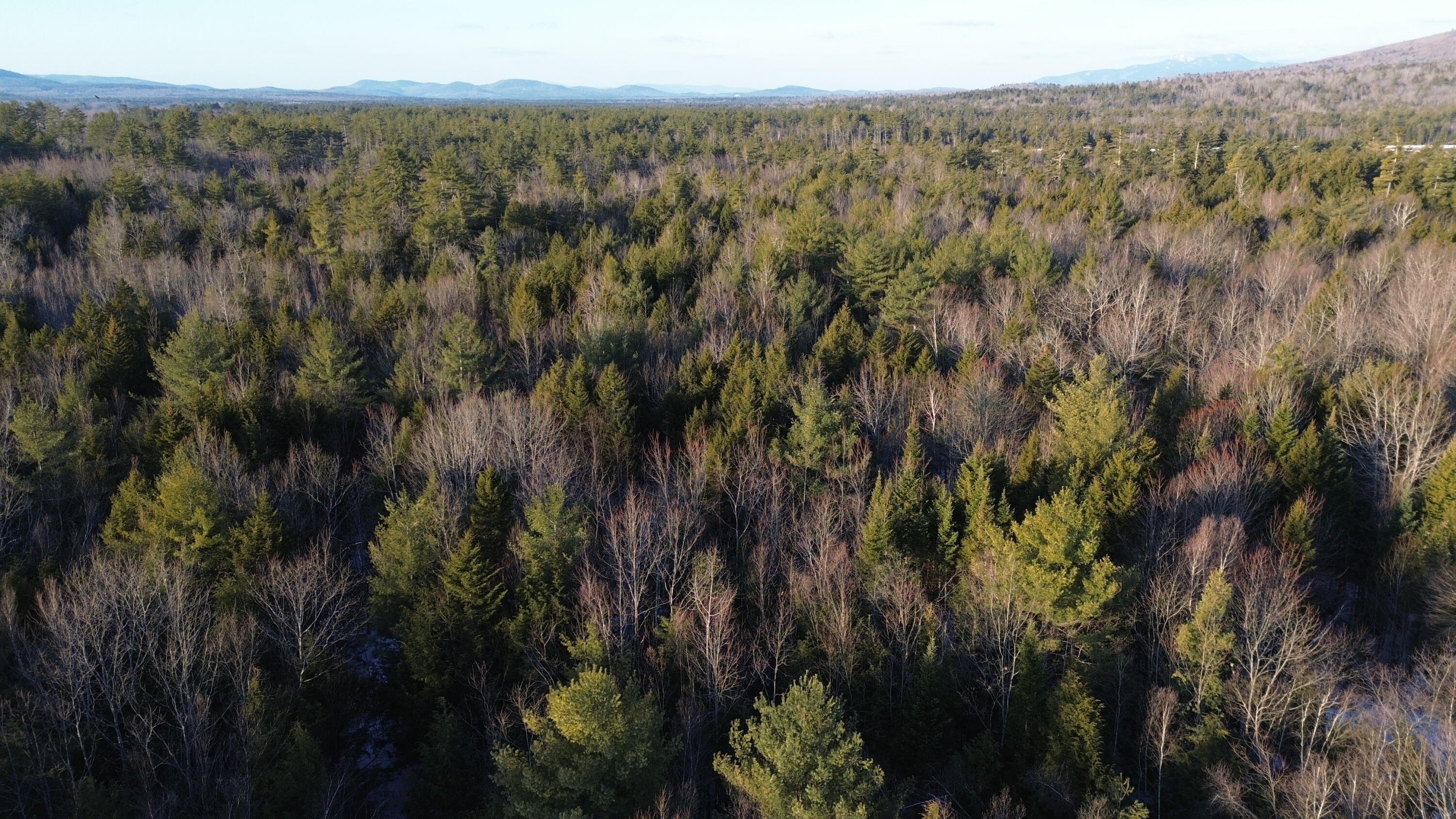 Map13-lot11 Field View Road Fryeburg, ME 04037 - Photo 9 of 37