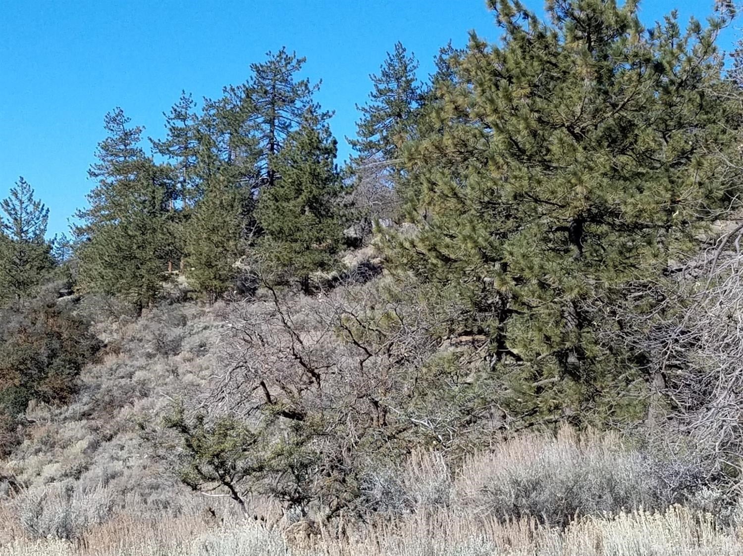 0 Stirrup Way Tehachapi, CA 93561 - Photo 7 of 16 Gallery Image 7