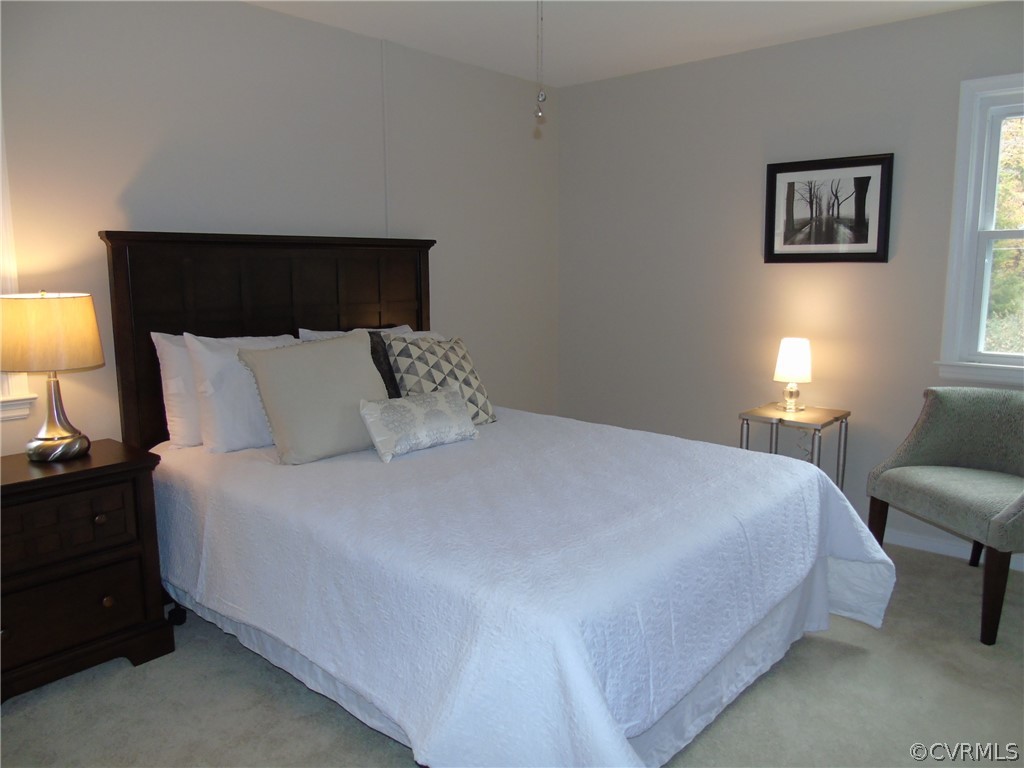 9901 Qualla Road Chesterfield, VA 23832 - Photo 14 of 38 Master Bedroom