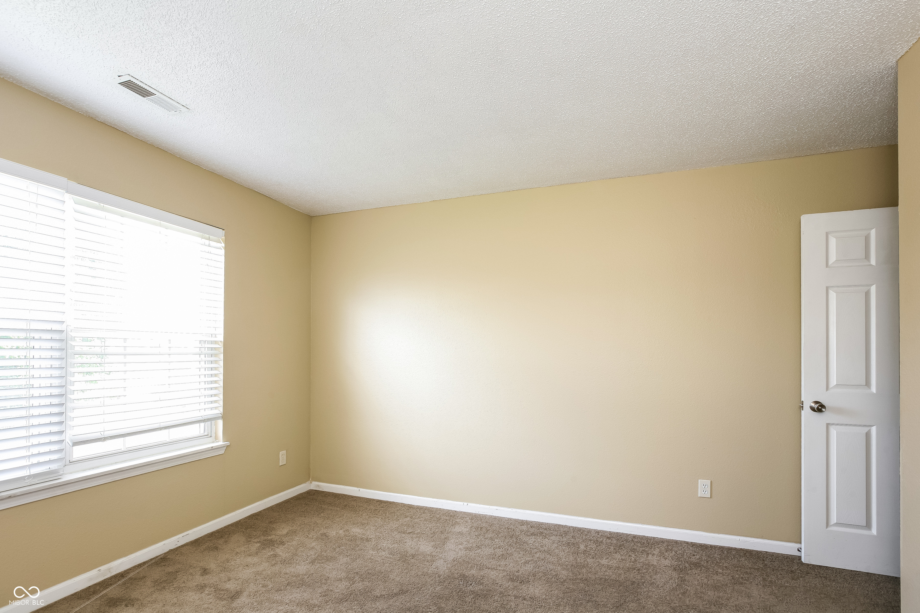 10313 Cadogan Drive Indianapolis, IN 46236 - Photo 10 of 17