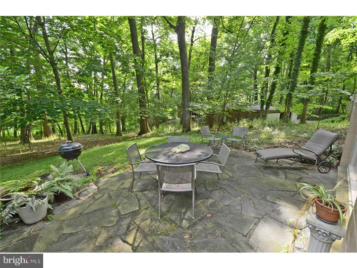 413 Hidden River Road Penn Valley, PA 19072 - Photo 18 of 21 Patio
