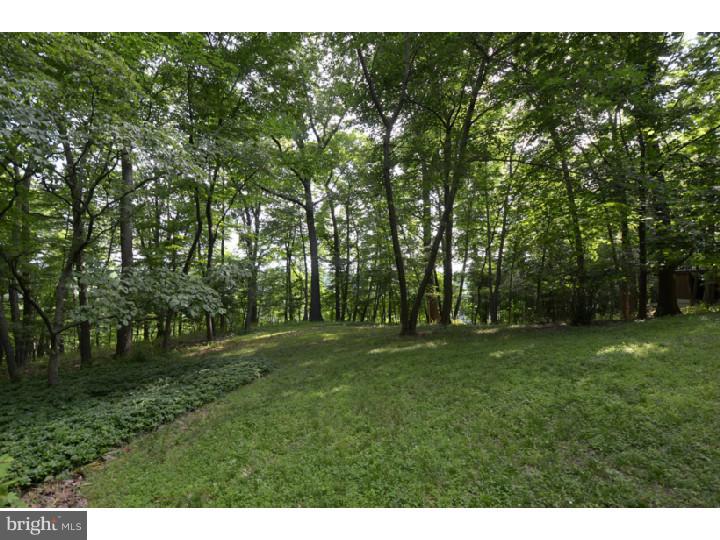 413 Hidden River Road Penn Valley, PA 19072 - Photo 20 of 21 Back Yard