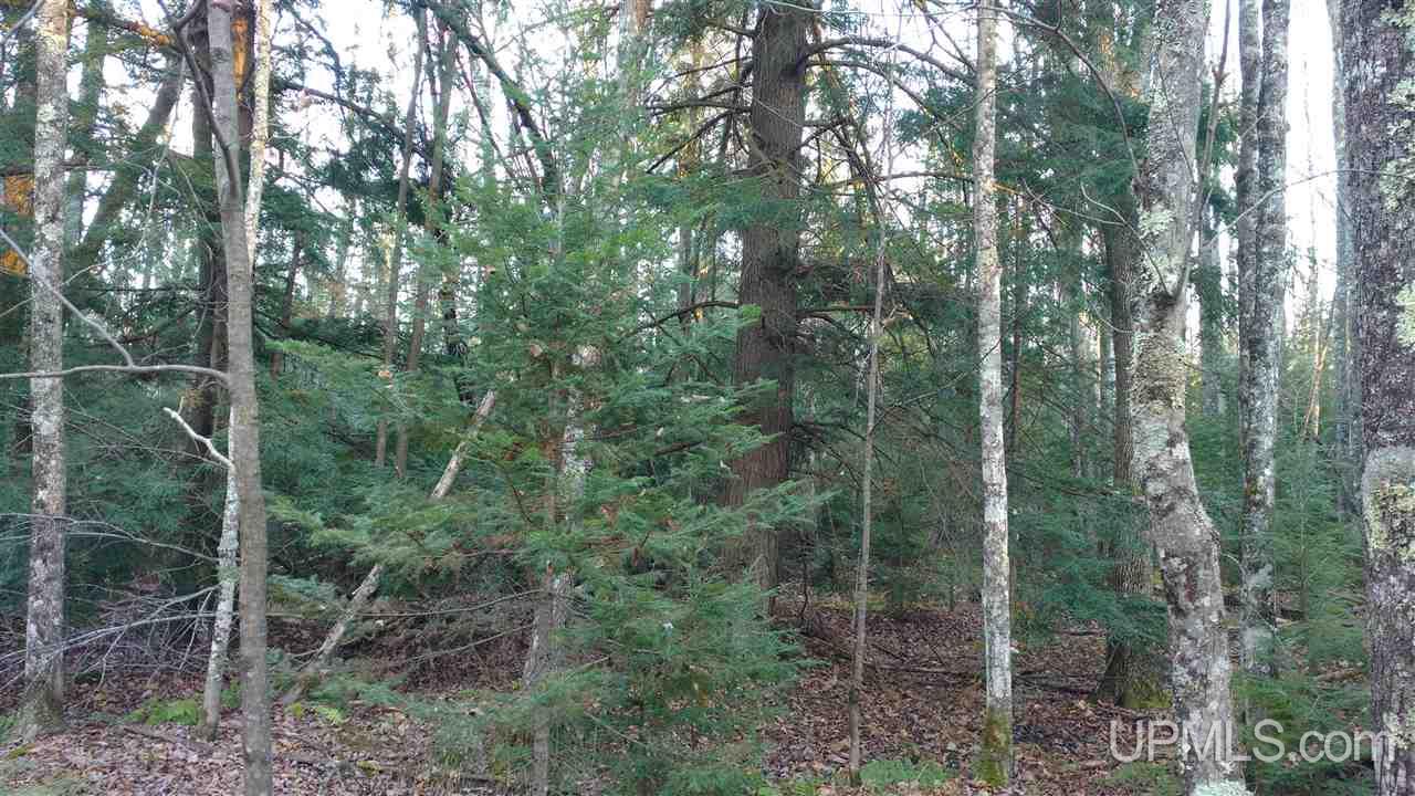 Tbd North Road Toivola, MI 49965 - Photo 6 of 13 Gallery Image 6
