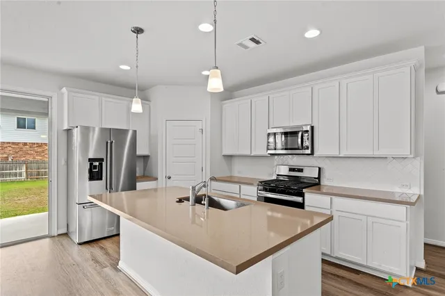 $2,025 | 448 Chaste Tree Drive, San Marcos, TX 78666