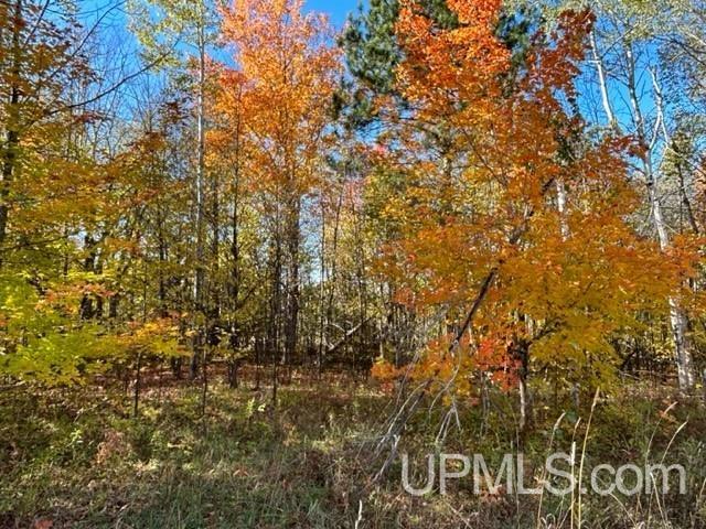 48649 Larson Road Atlantic Mine, MI 49905 - Photo 31 of 47 Gallery Image 31