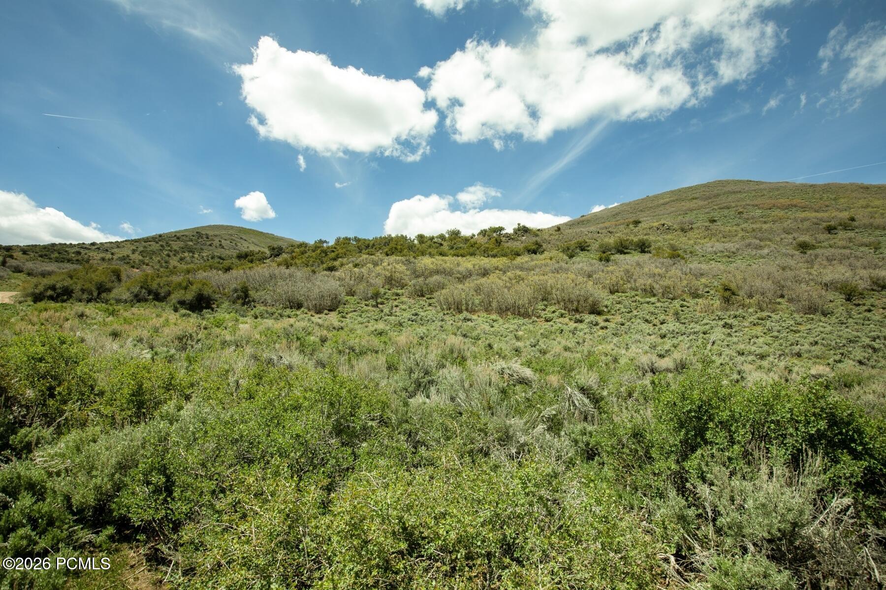 1646 North Miles Holw Road Kamas, UT 84036 - Photo 20 of 35