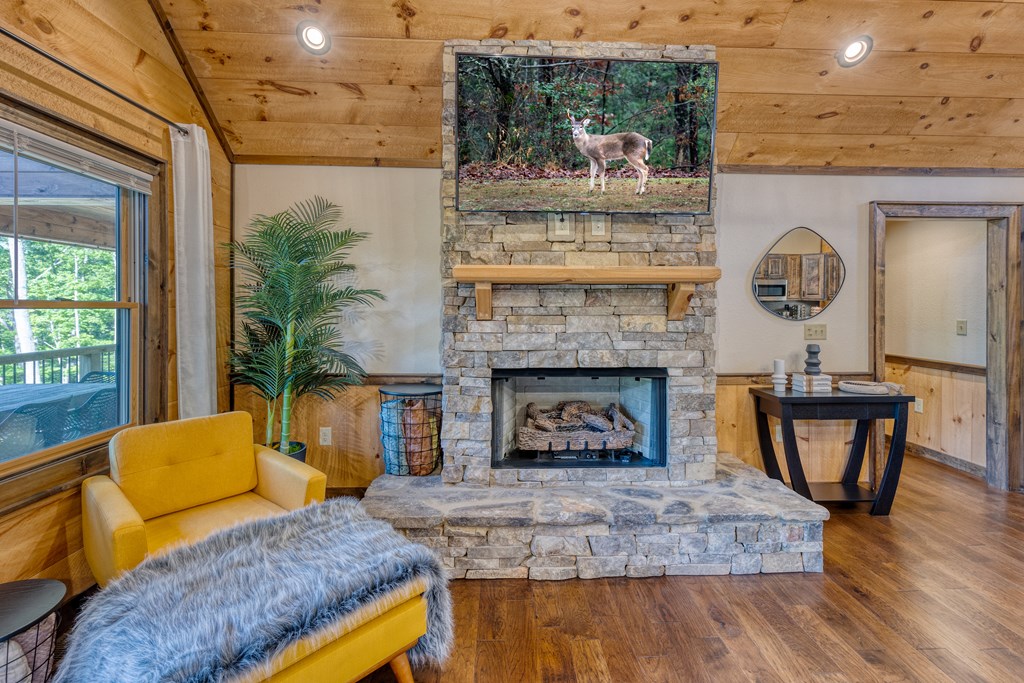 800 Wise Road Morganton, GA 30560 - Photo 5 of 109