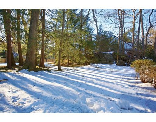 121 Intervale Road Newton, MA 02467 - Photo 14 of 14 a view of road with trees