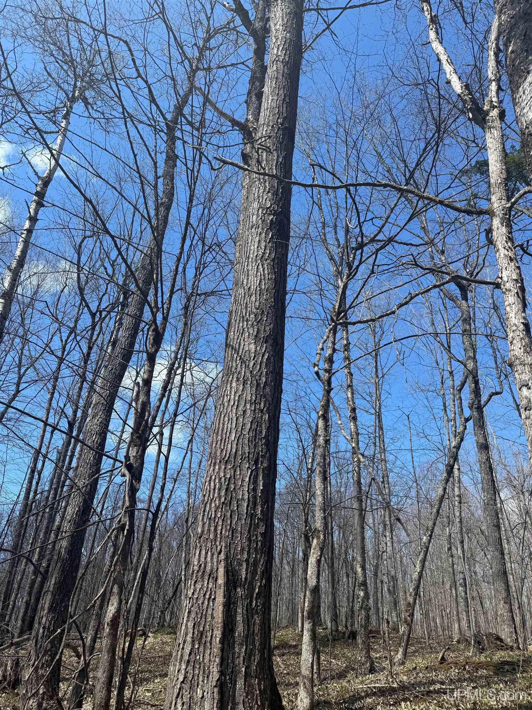 Tbd Victoria Dam Road Rockland, MI 49960 - Photo 1 of 22