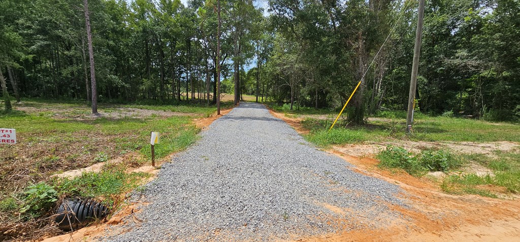 L1 New Hinson Road Slocomb, AL 36375 - Photo 3 of 30