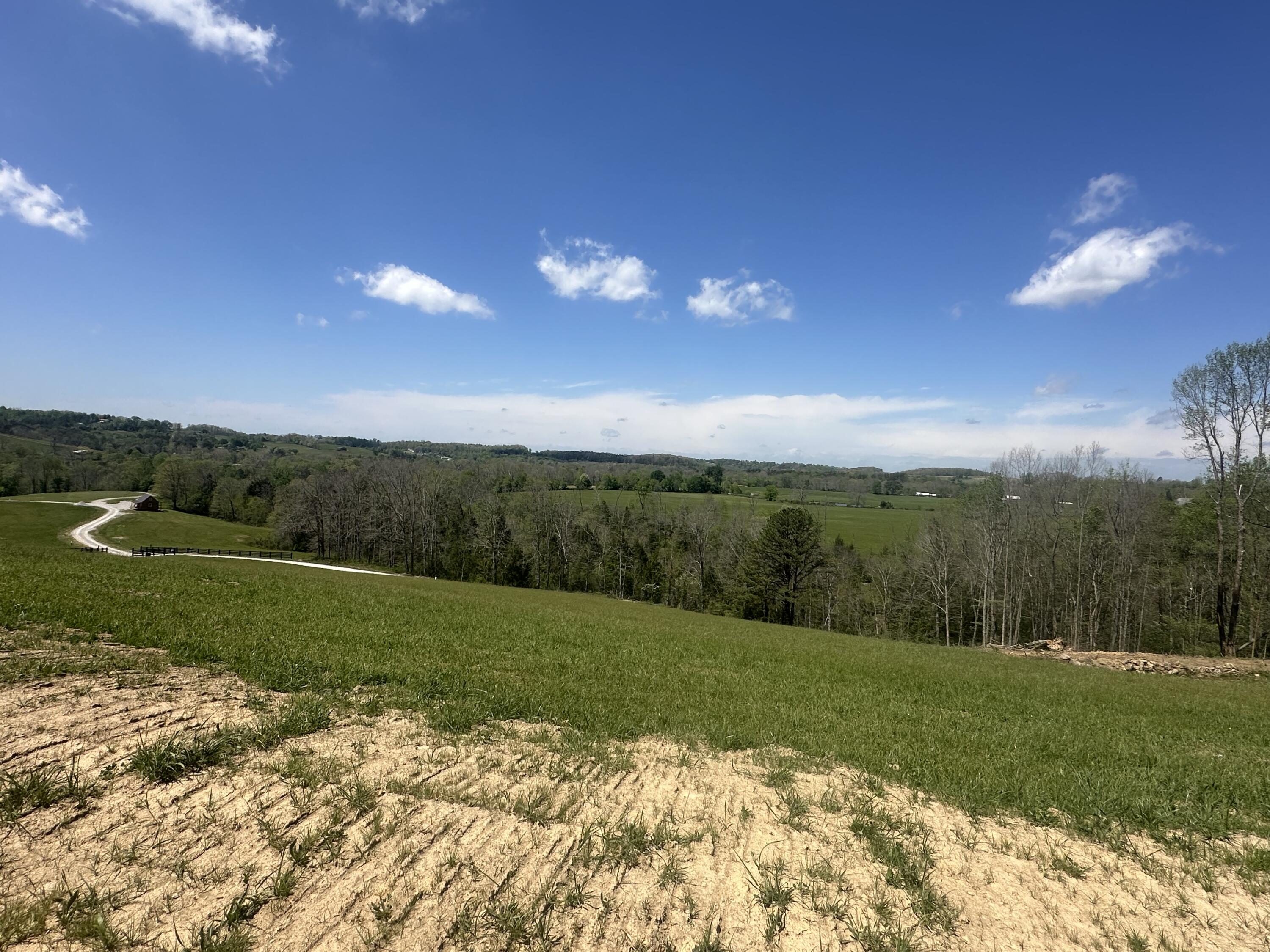 Lot 2 Baldwin Road McKee, KY 40447 - Photo 40 of 45 IMG_8523