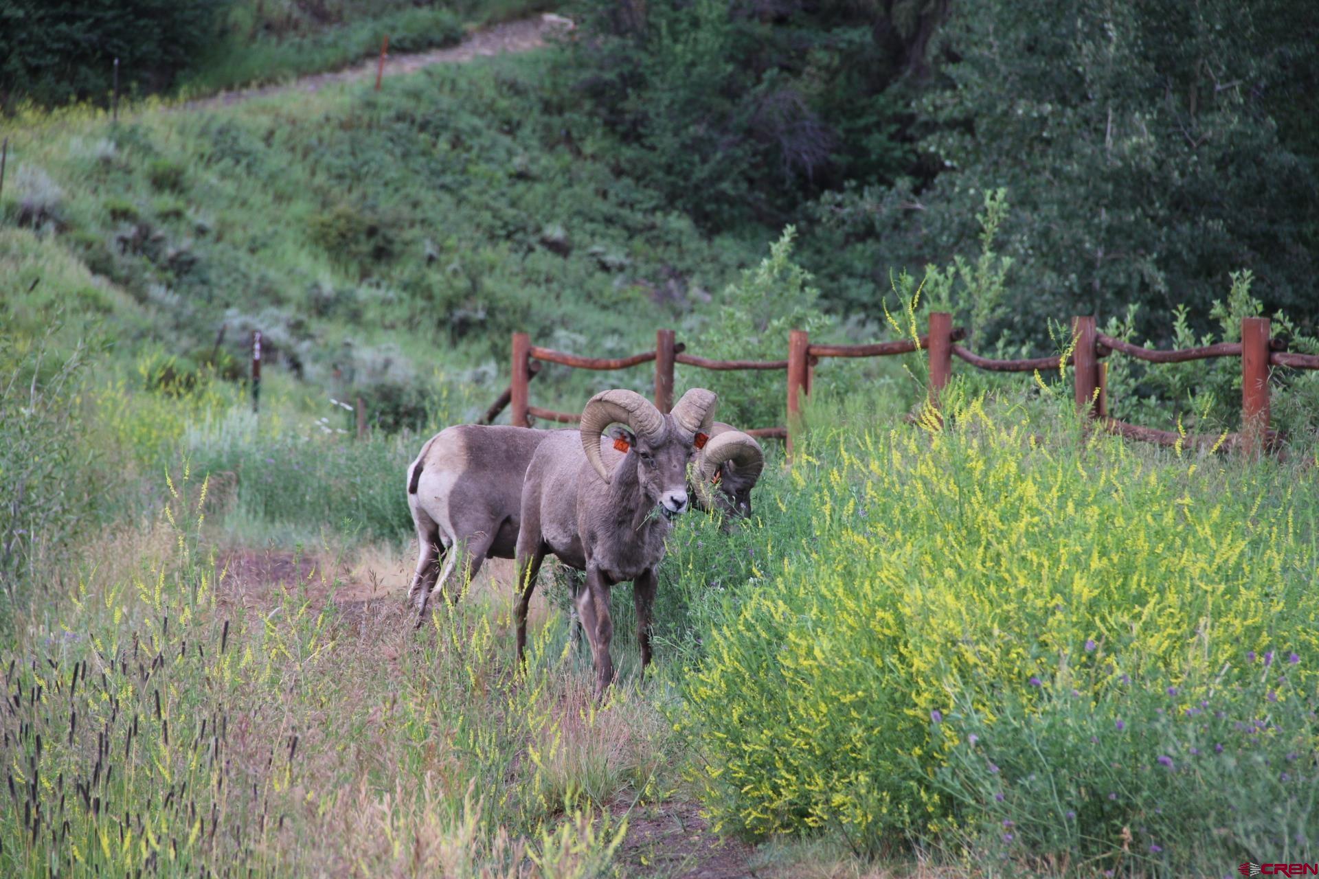 39 Anna's Loop, Unit 39 Almont, CO 81210 - Photo 41 of 45
