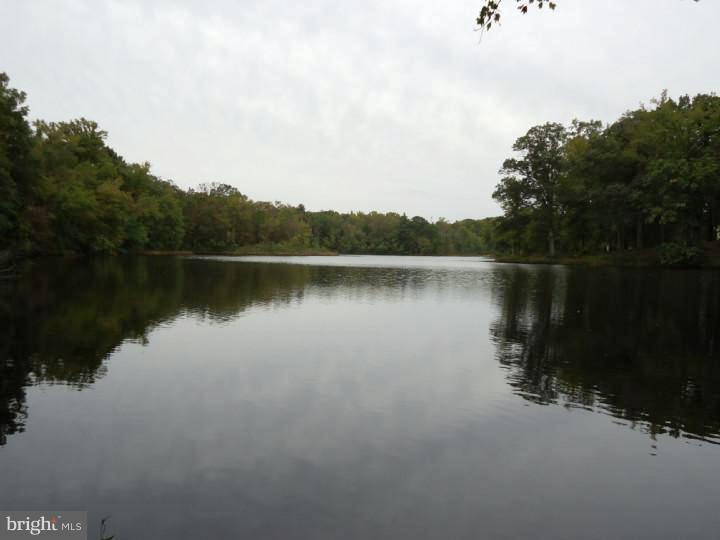 141 Waterworks Road Alloway, NJ 08001 - Photo 17 of 19