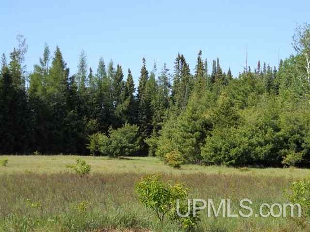 Tbd Missouri Rd - Co Rd 565, Unit LAT 46 31633 LON 87 5822 Gwinn, MI 49841 - Photo 22 of 30