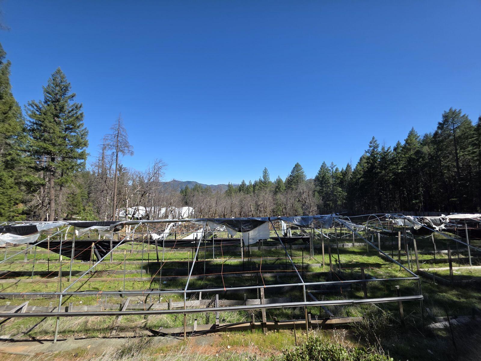 2141 Mc Alexander Road Hayfork, CA 96041 - Photo 21 of 29 mc21